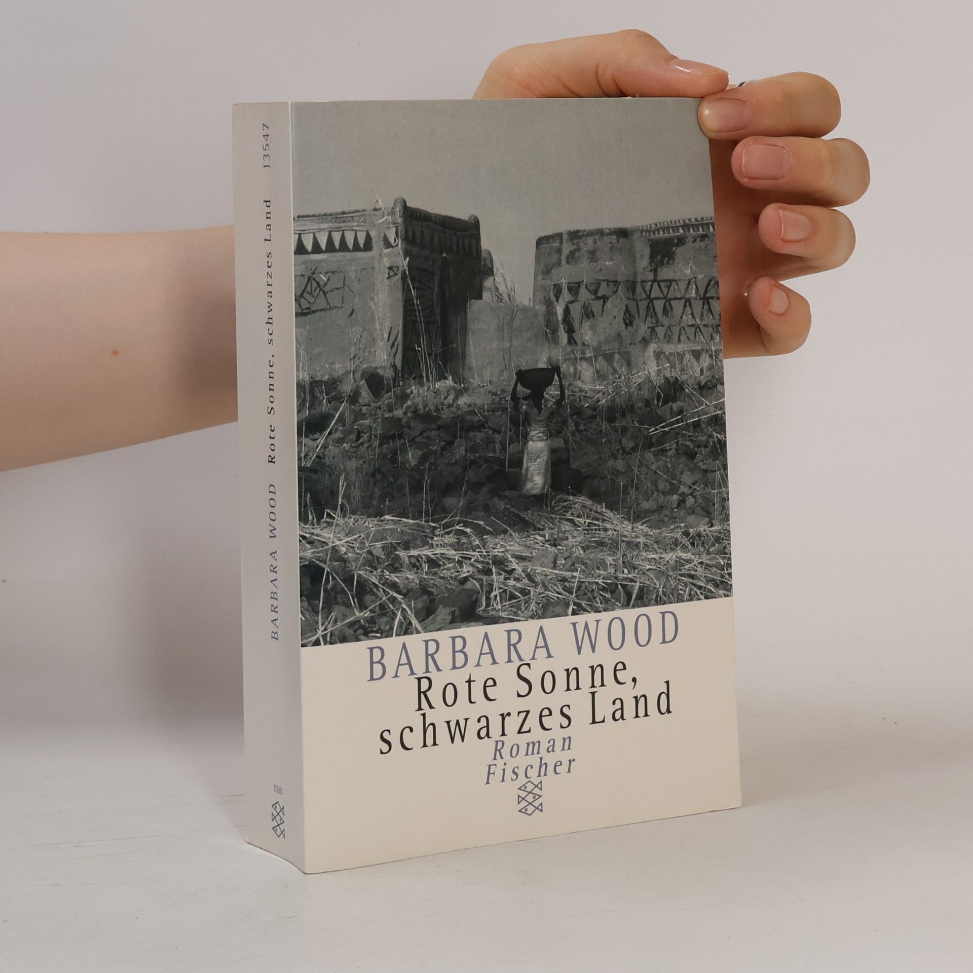 Barbara Wood Rote Sonne, schwarzes Land