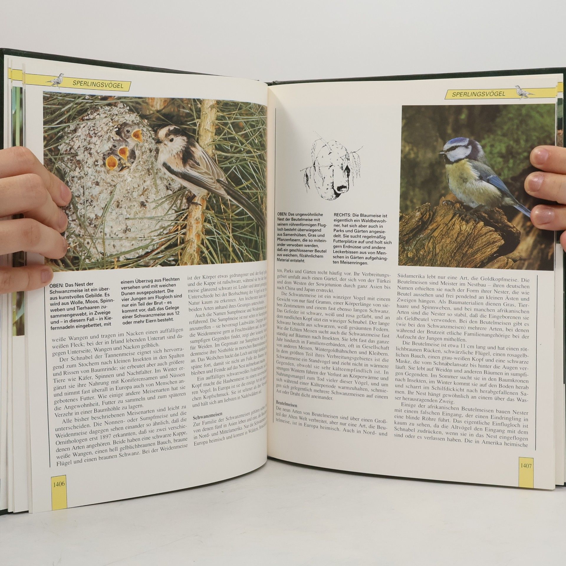 Autores varios Lebendiges Tierreich. Band 24