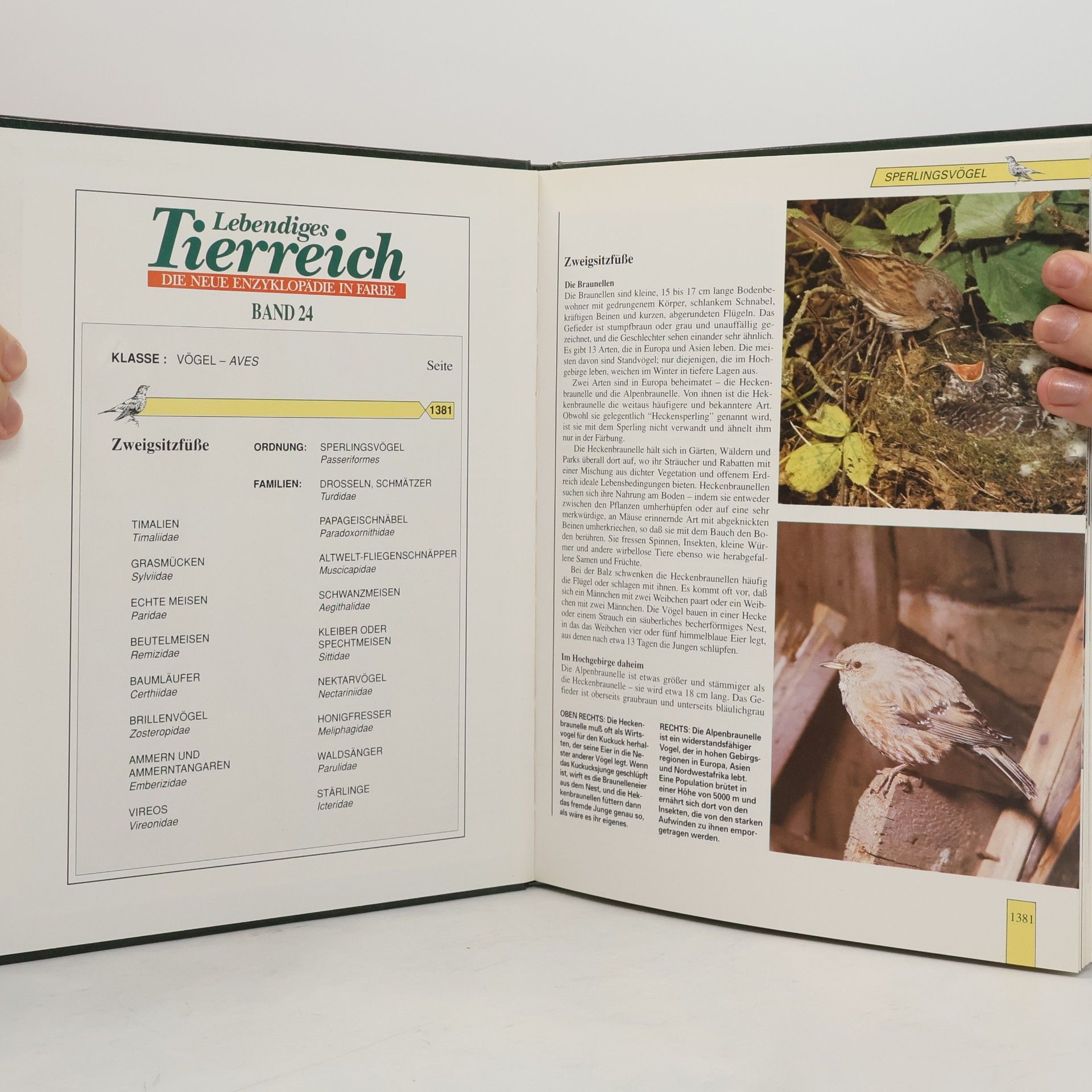 Autores varios Lebendiges Tierreich. Band 24