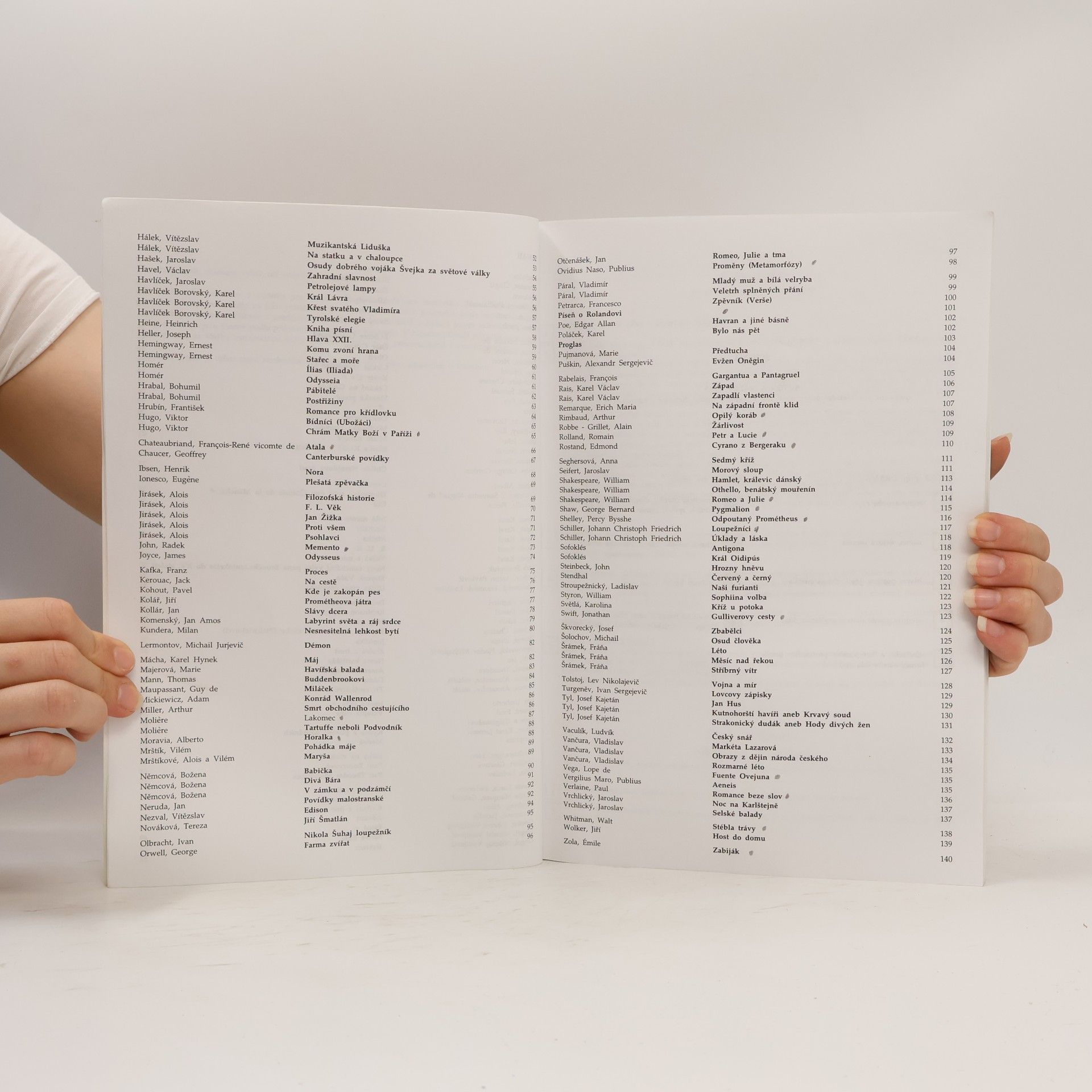 Marie Sochrová Čtenářský deník k Literatuře v kostce