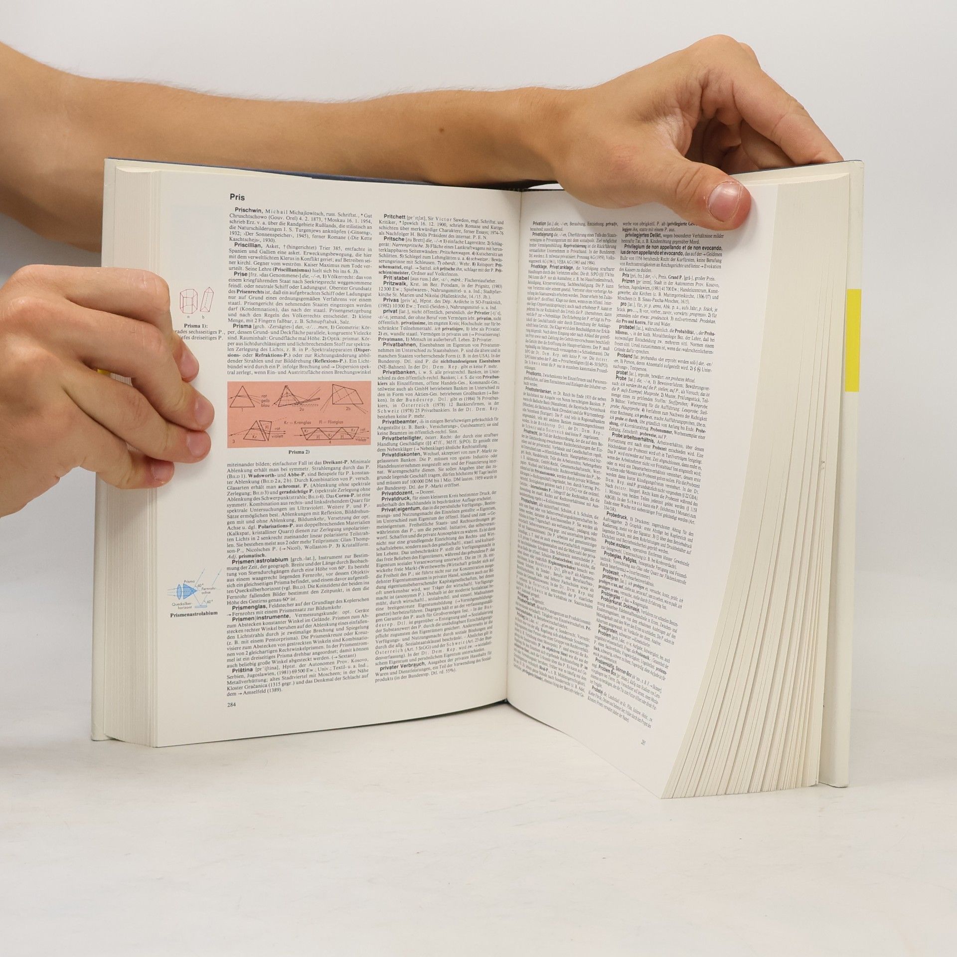 Autorenkollektiv Der neue Brockhaus 4: Nev-Sid