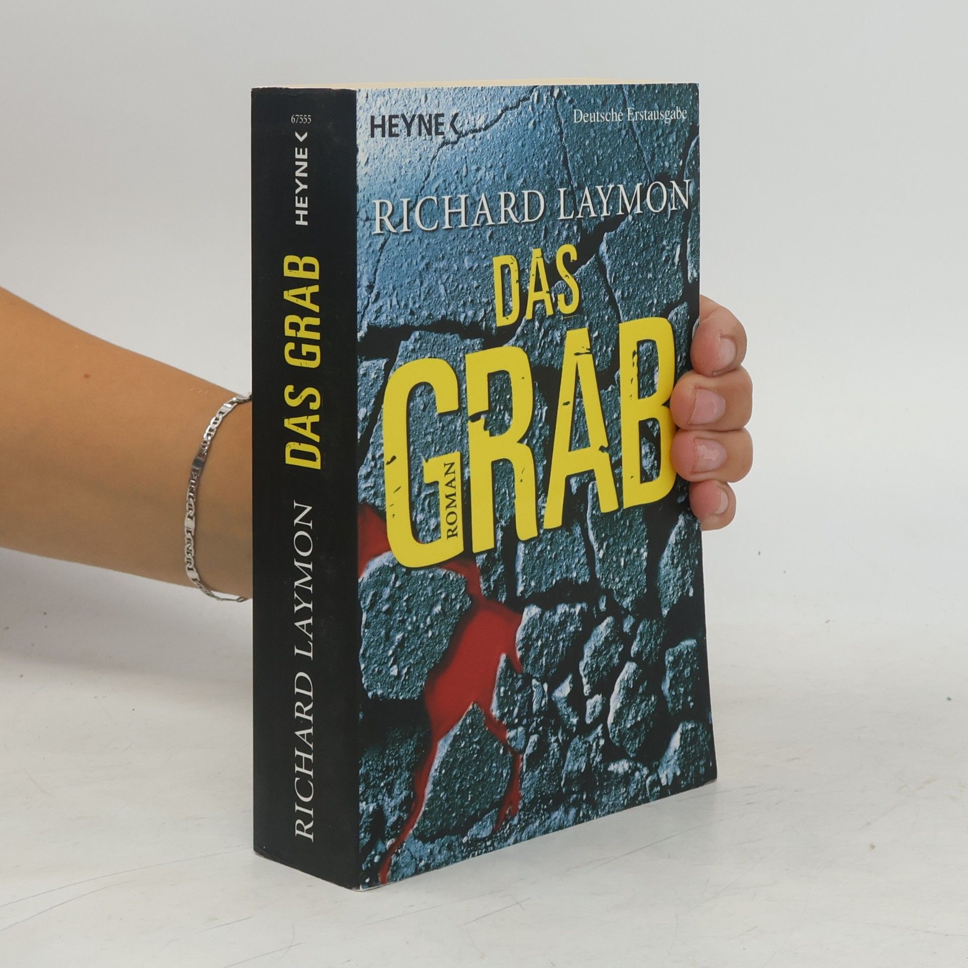 Richard Laymon Das Grab