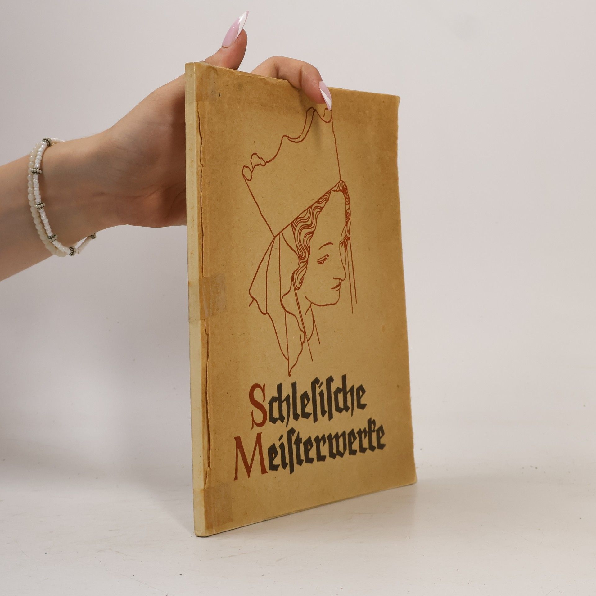 Autorenkollektiv Schlesische Meisterwerke