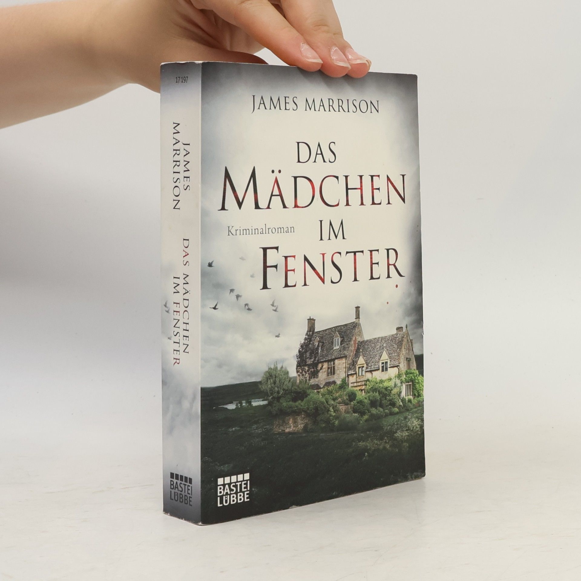 James Marrison Das Mädchen im Fenster