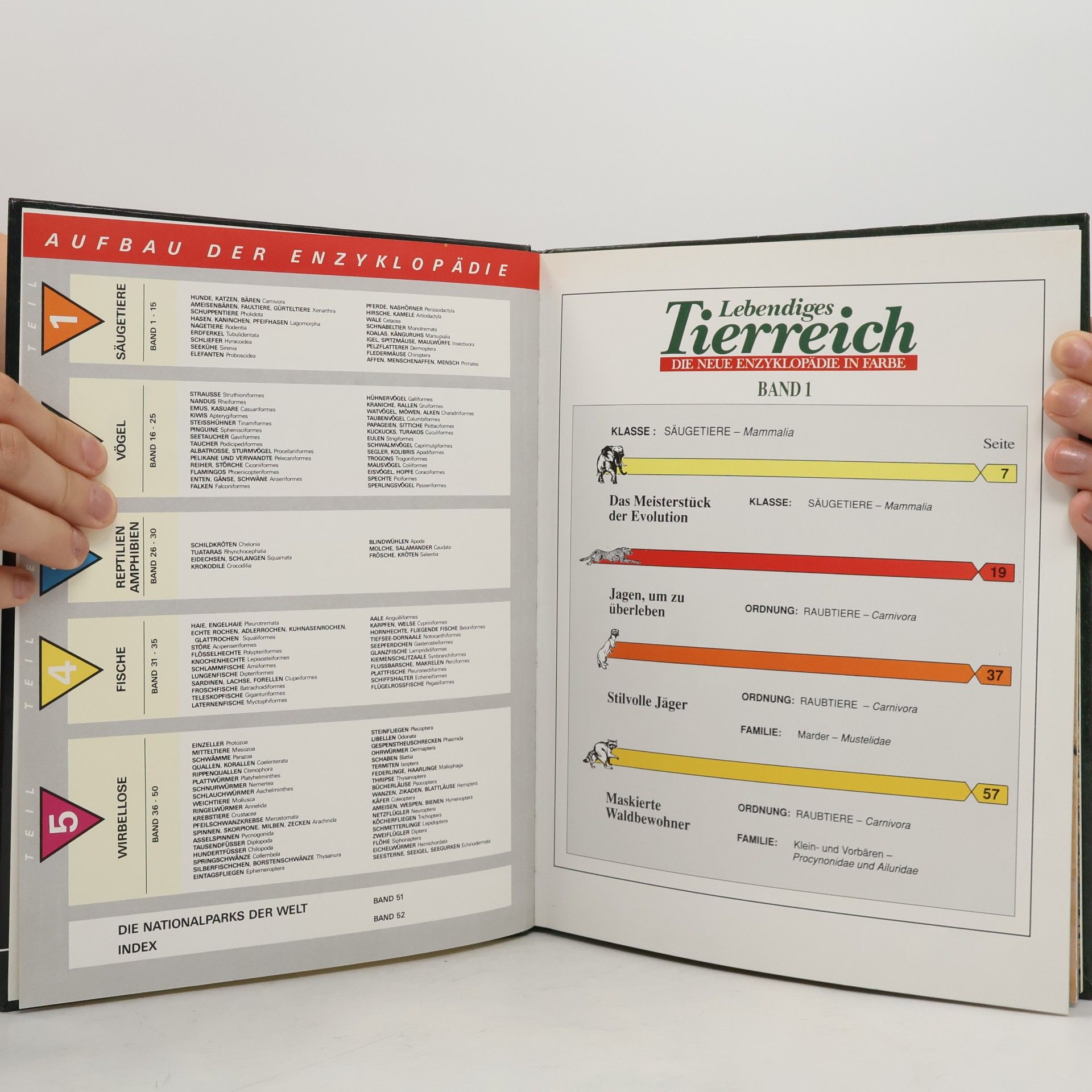 Auteurscollectief Lebendiges Tierreich Die neue Enzyklopädie in Farbe Ein Agostini Sammelwerk Band 1
