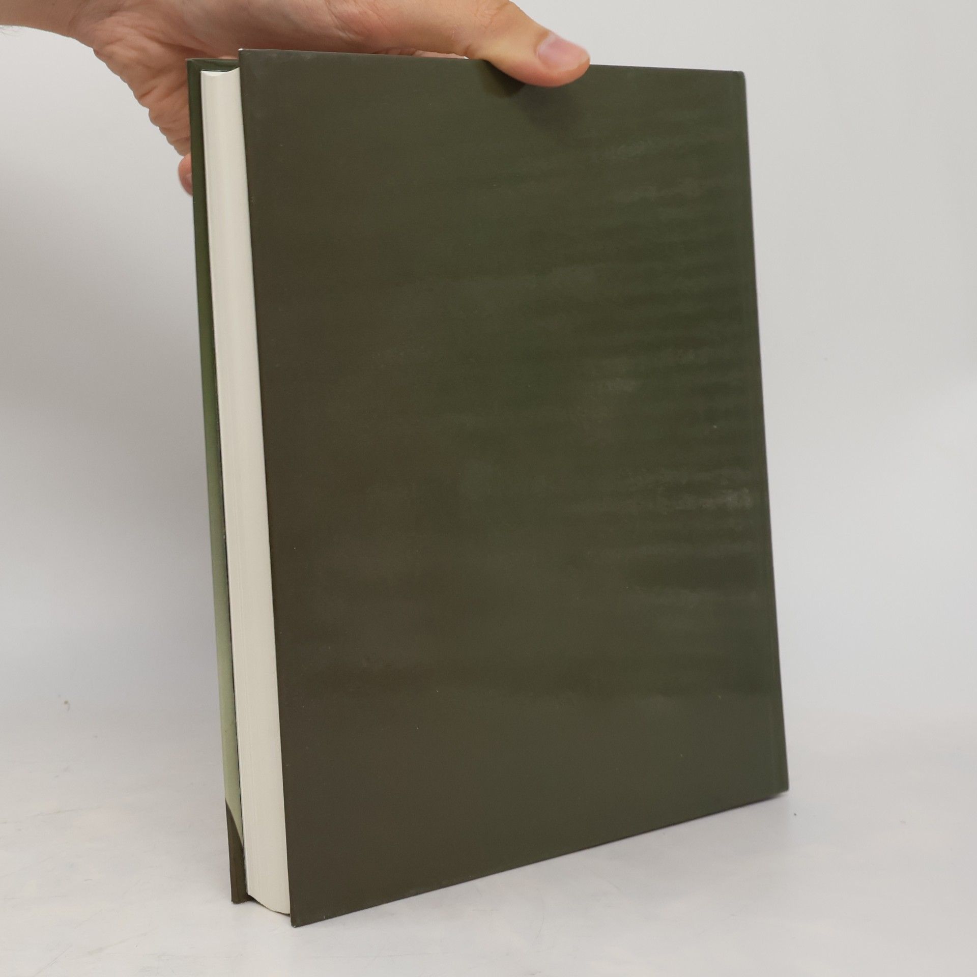 Helmut Brinker Kunstschätze aus China. Zürich, Berlin, Hildesheim, Köln 1980-1981