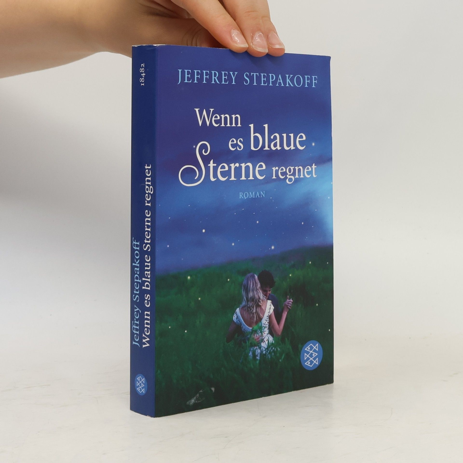 Jeffrey Stepakoff Wenn es blaue Sterne regnet