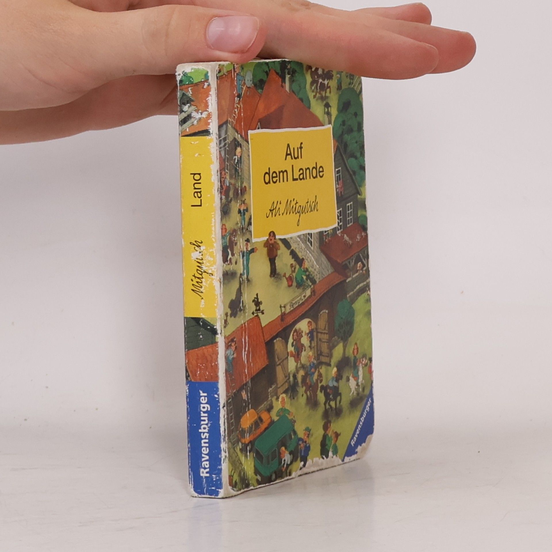 Ali Mitgutsch Mini-Wimmelbücher VPE 52