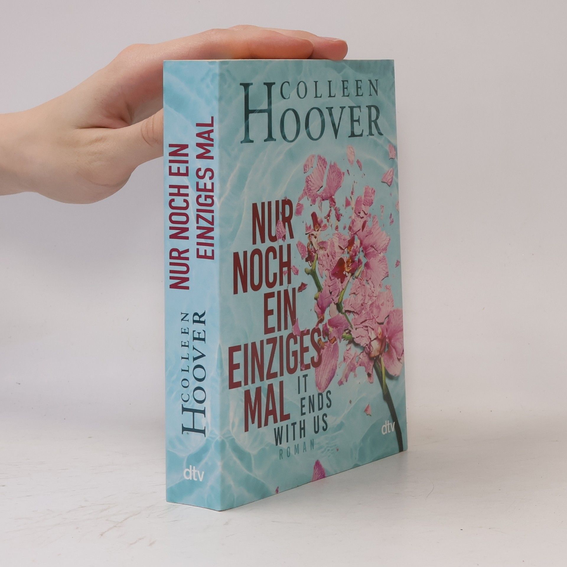 Colleen Hoover Nur noch ein einziges Mal