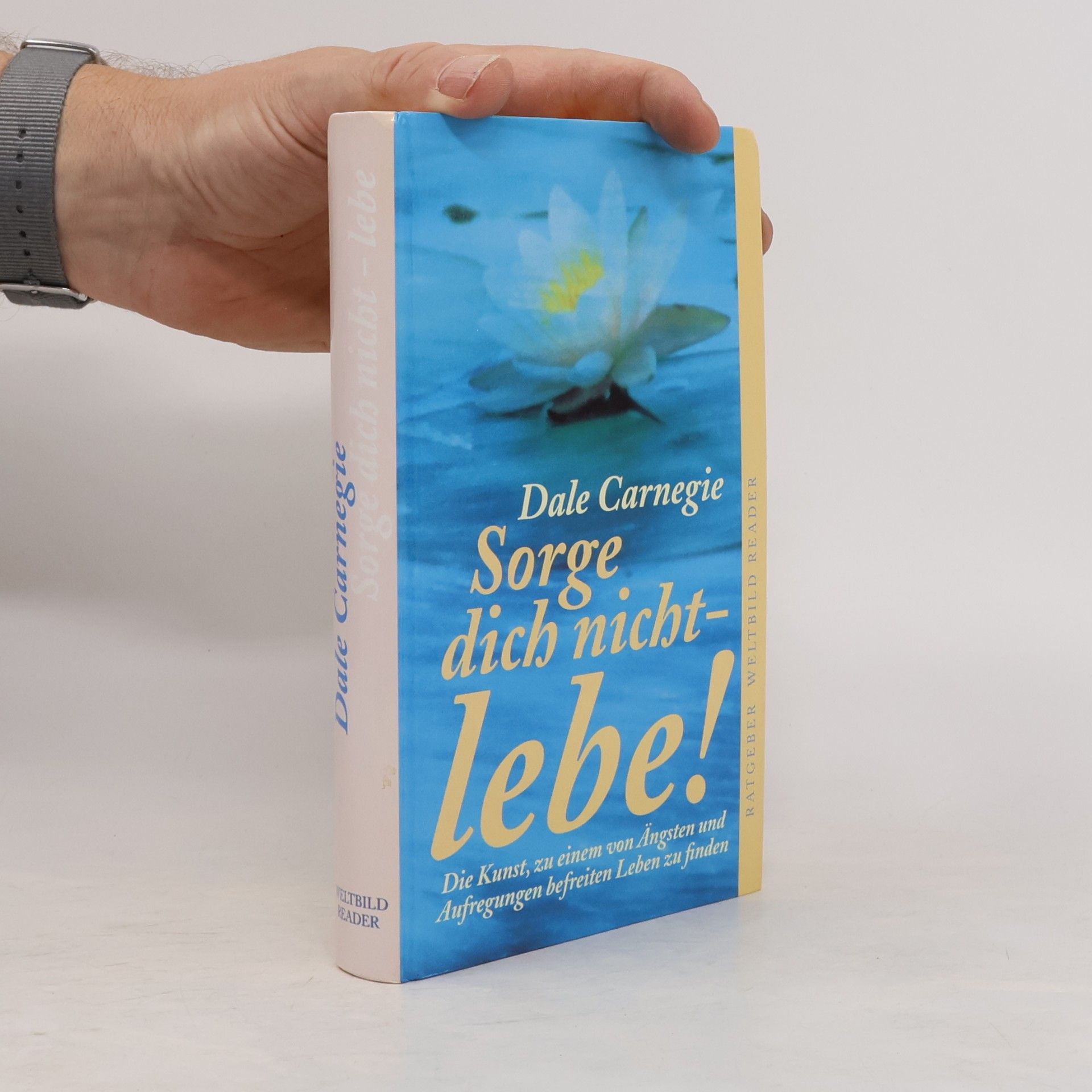 Dale Carnegie Sorge dich nicht - lebe!