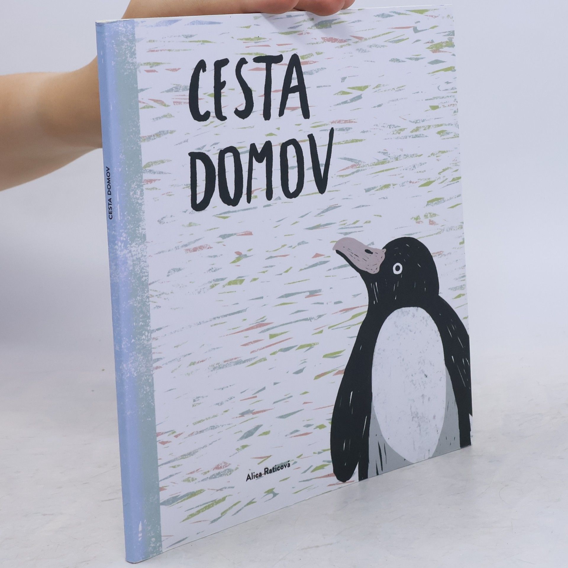 Alica Raticová Cesta domov