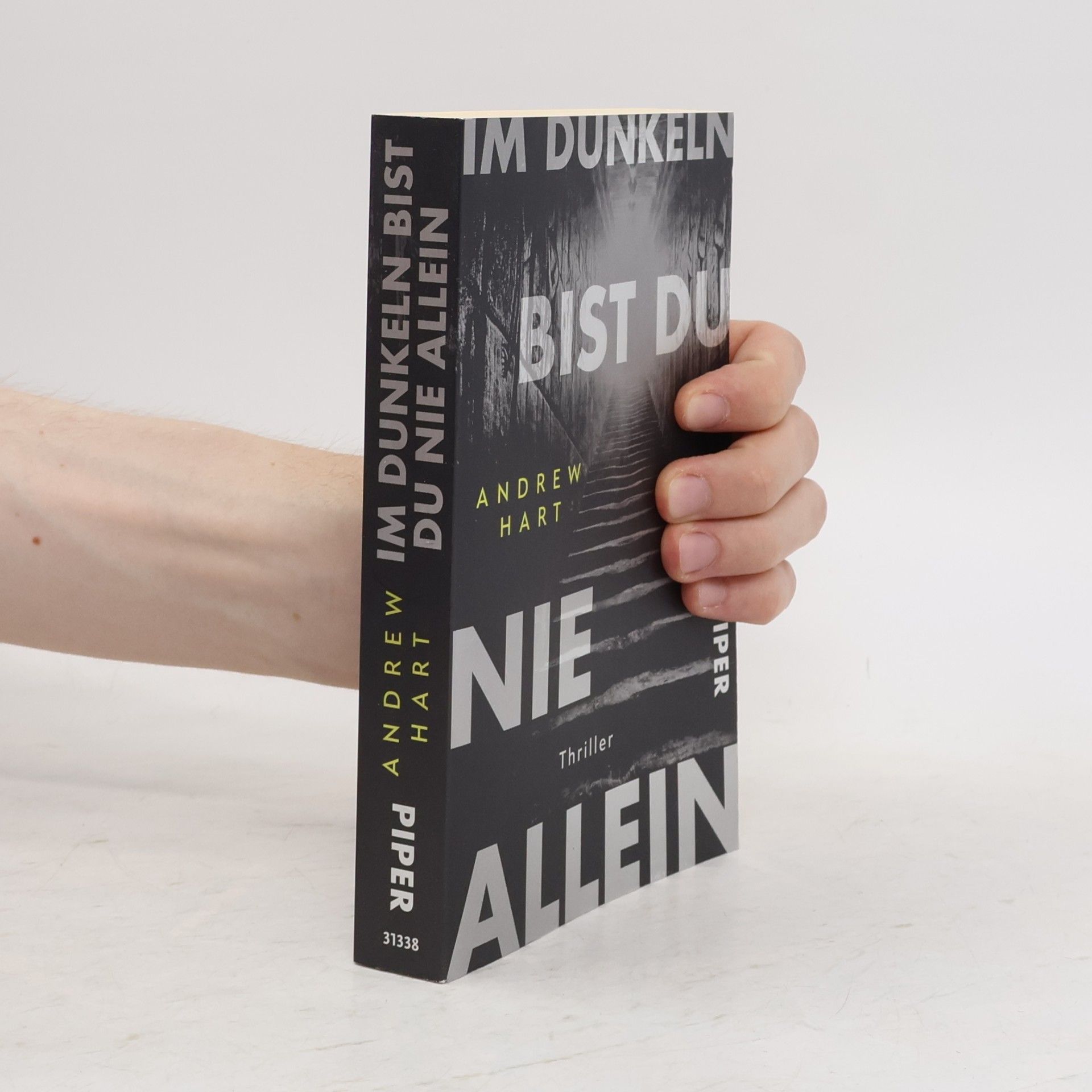A. J. Hartley Im Dunkeln bist du nie allein