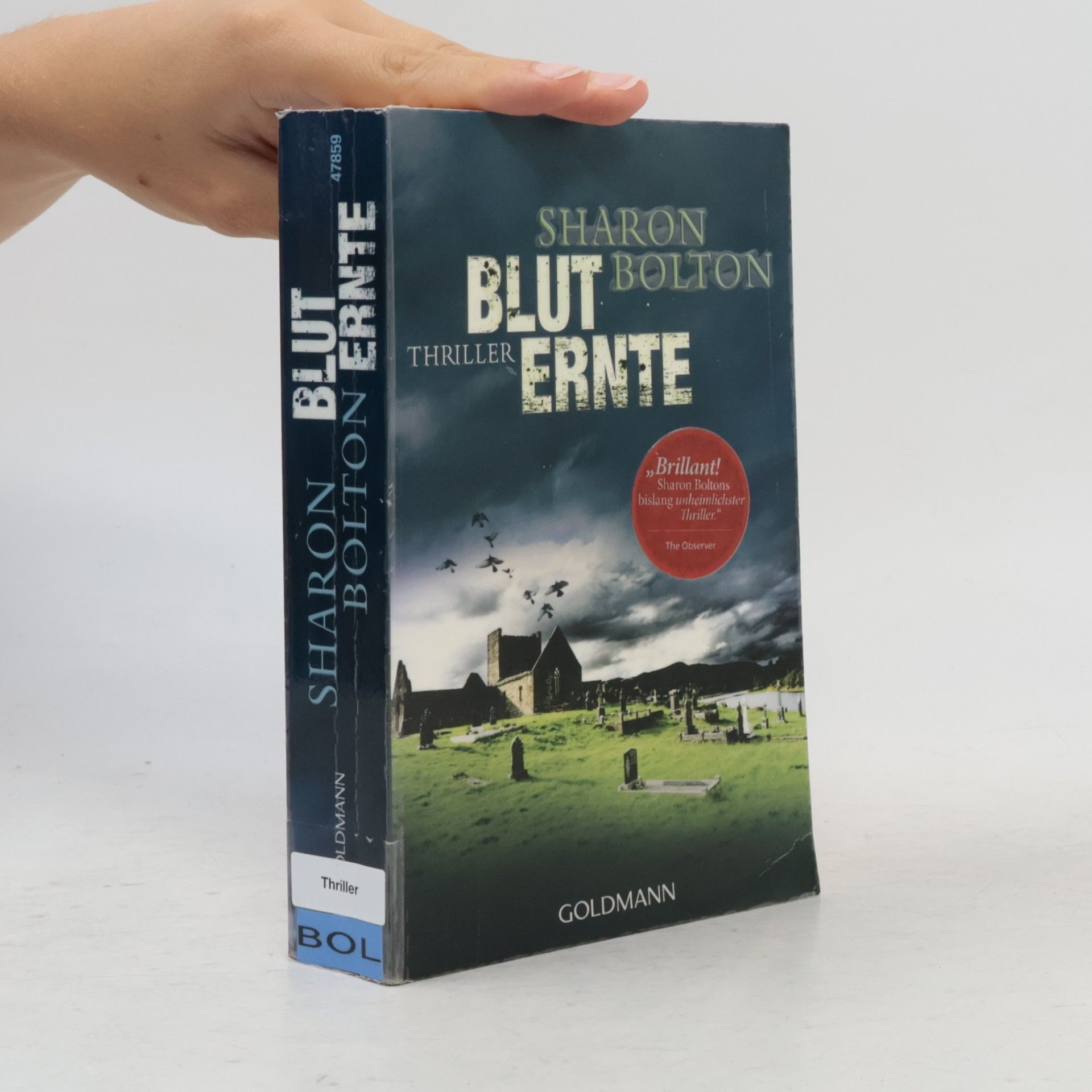 Sharon J. Bolton Bluternte