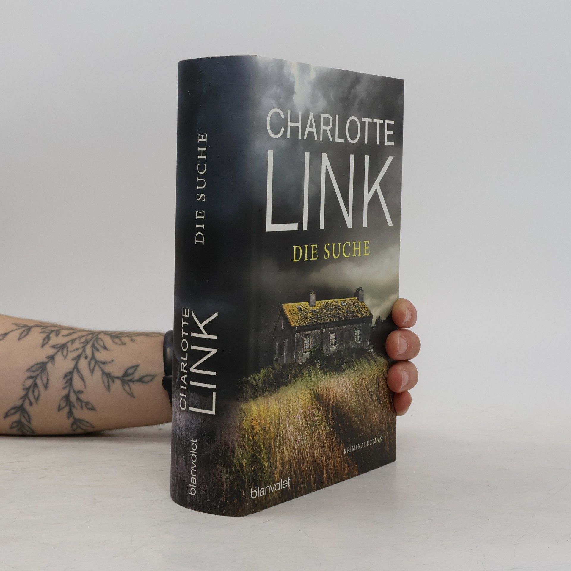 Charlotte Link Die Suche