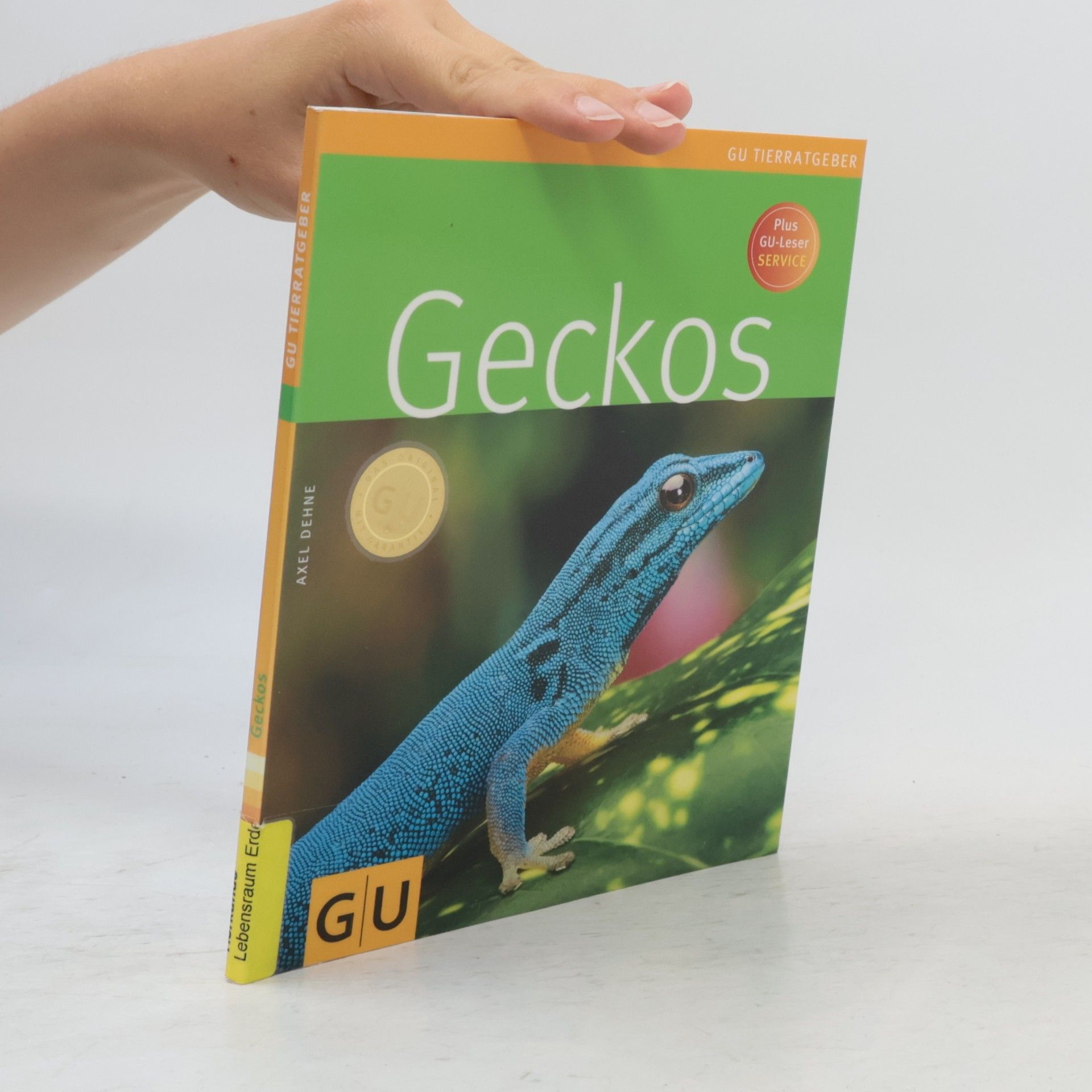 Axel Dehne Geckos