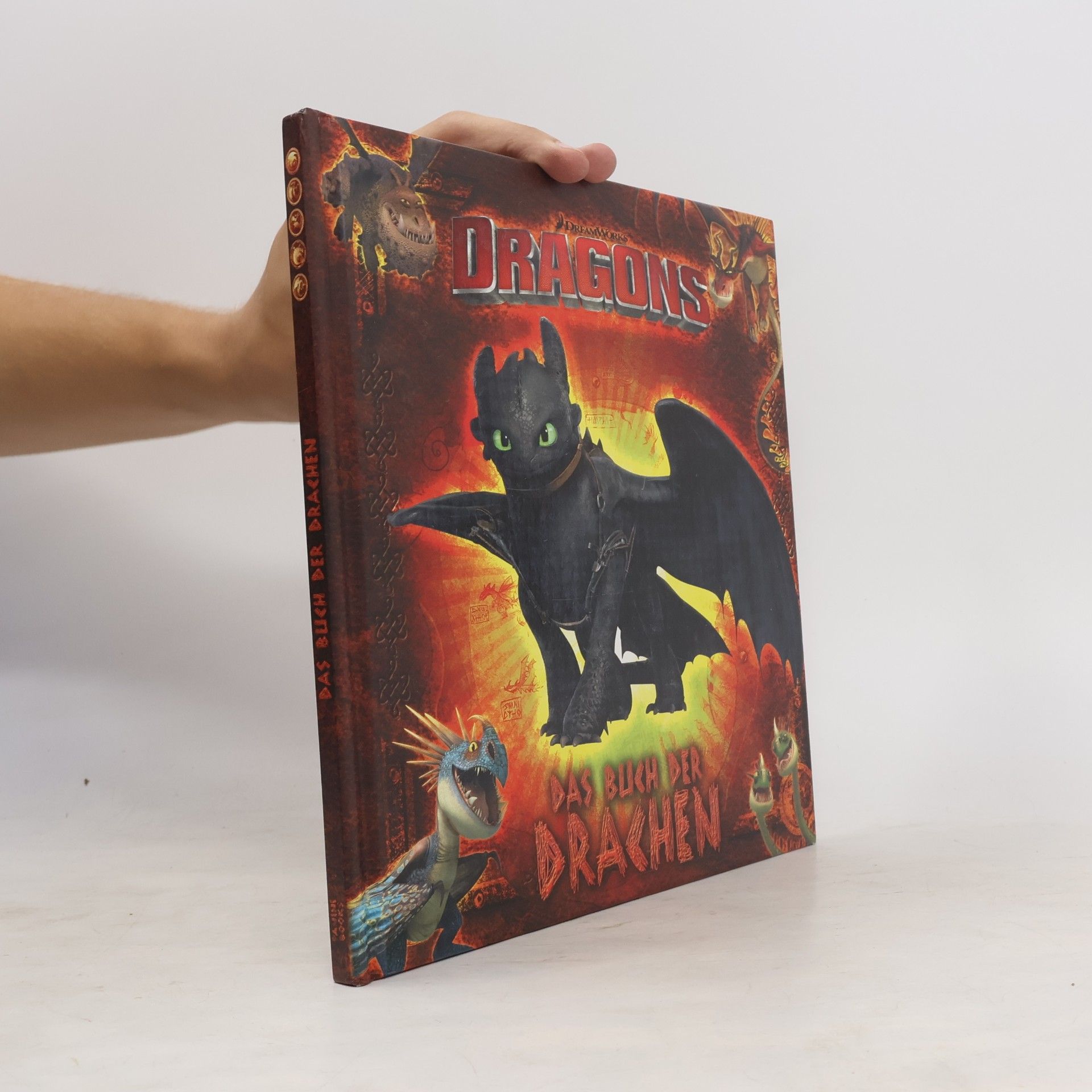 Maggie Testa Dragons - das Buch der Drachen