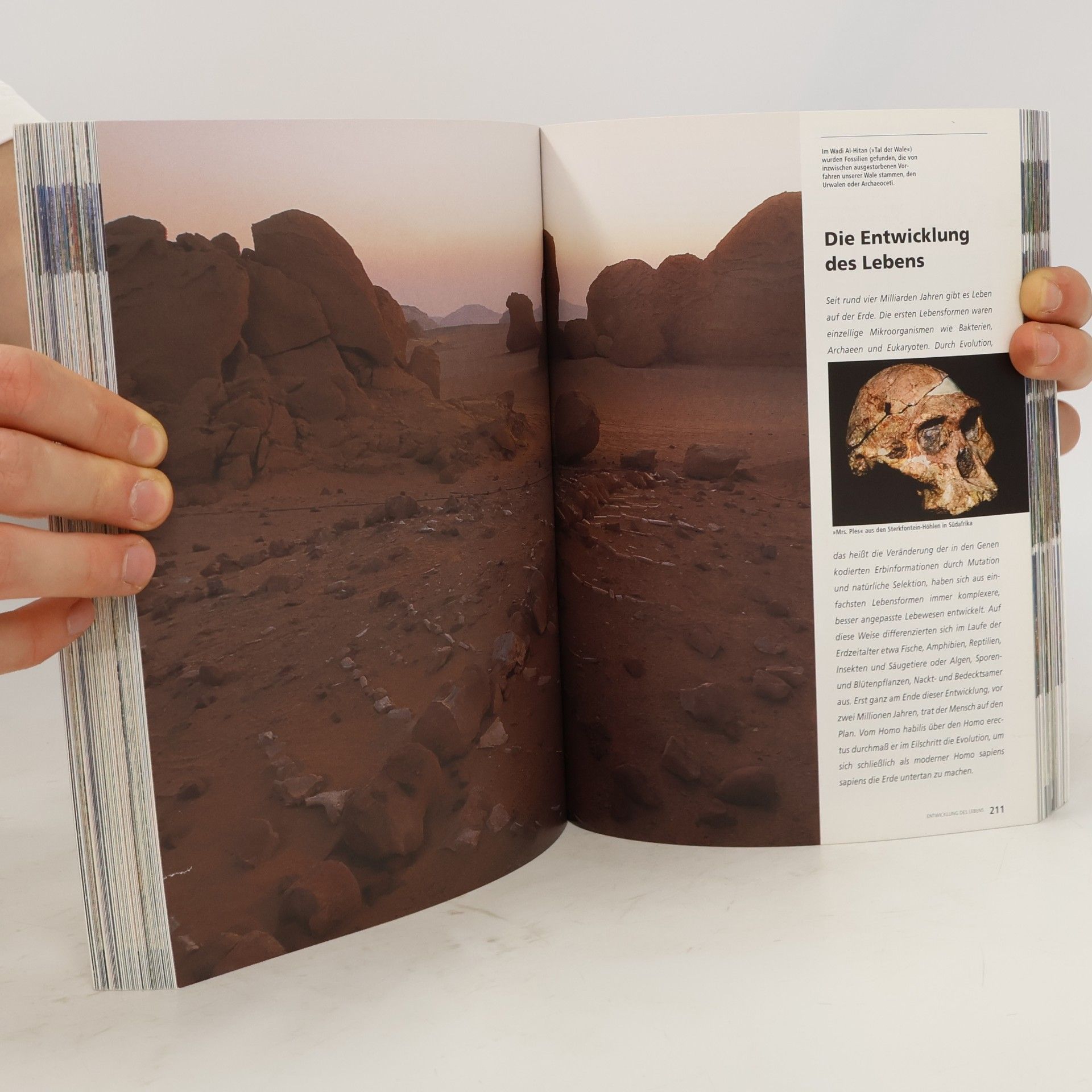 Autorenkollektiv Unser Planet
