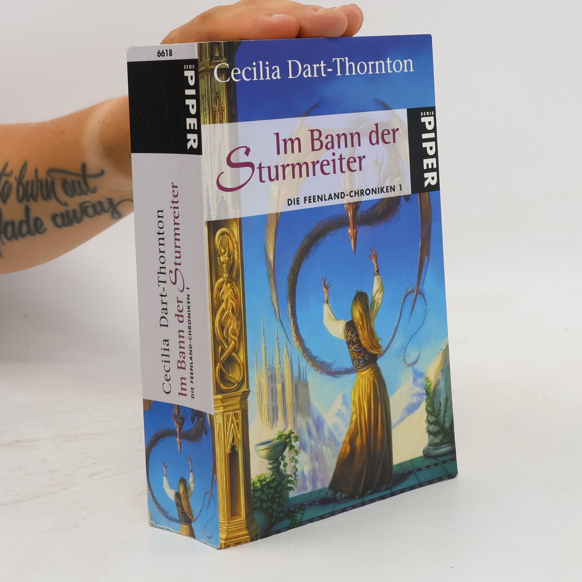 Im Bann der Sturmreiter. Die Feenland-Chroniken 1
