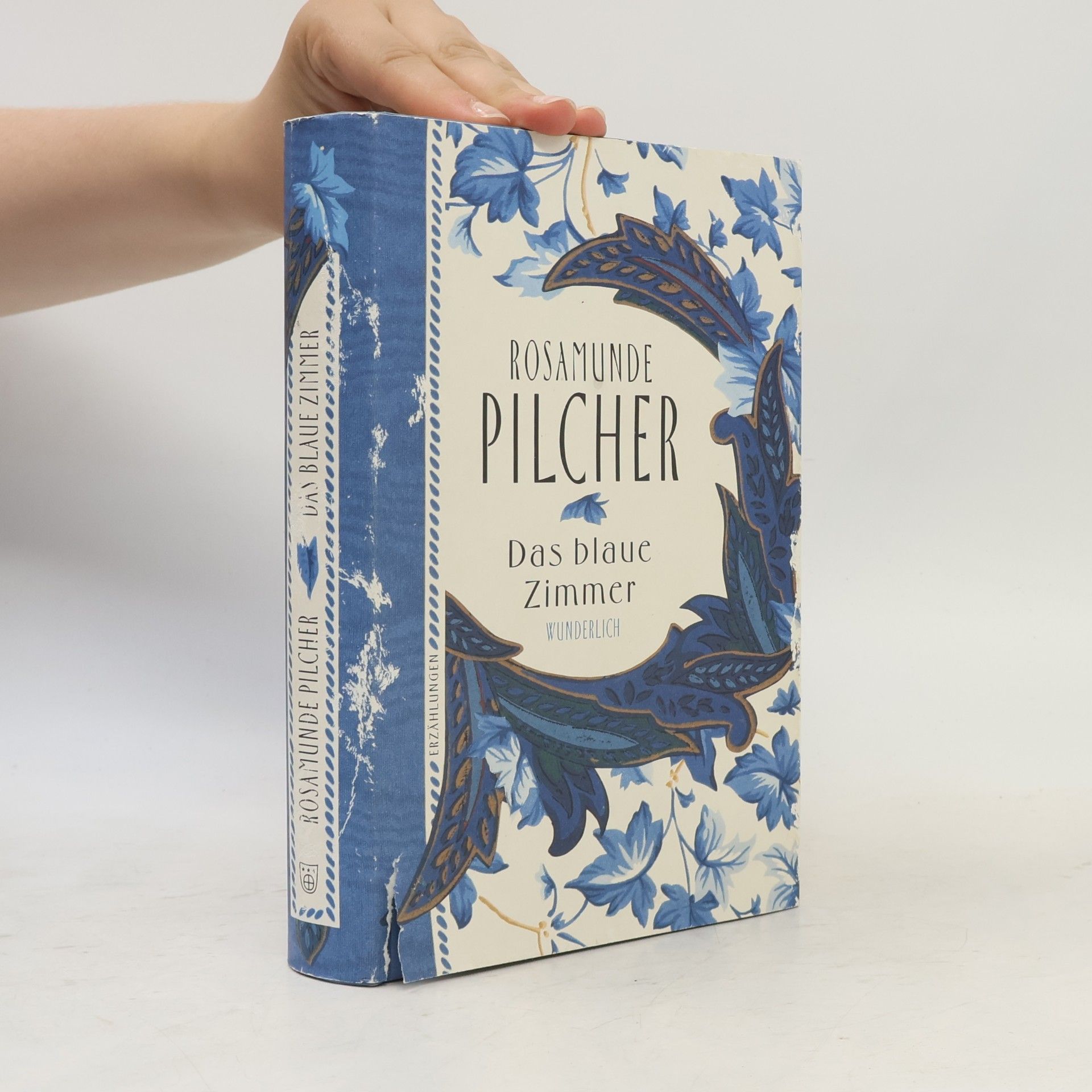Rosamunde Pilcher Das blaue Zimmer