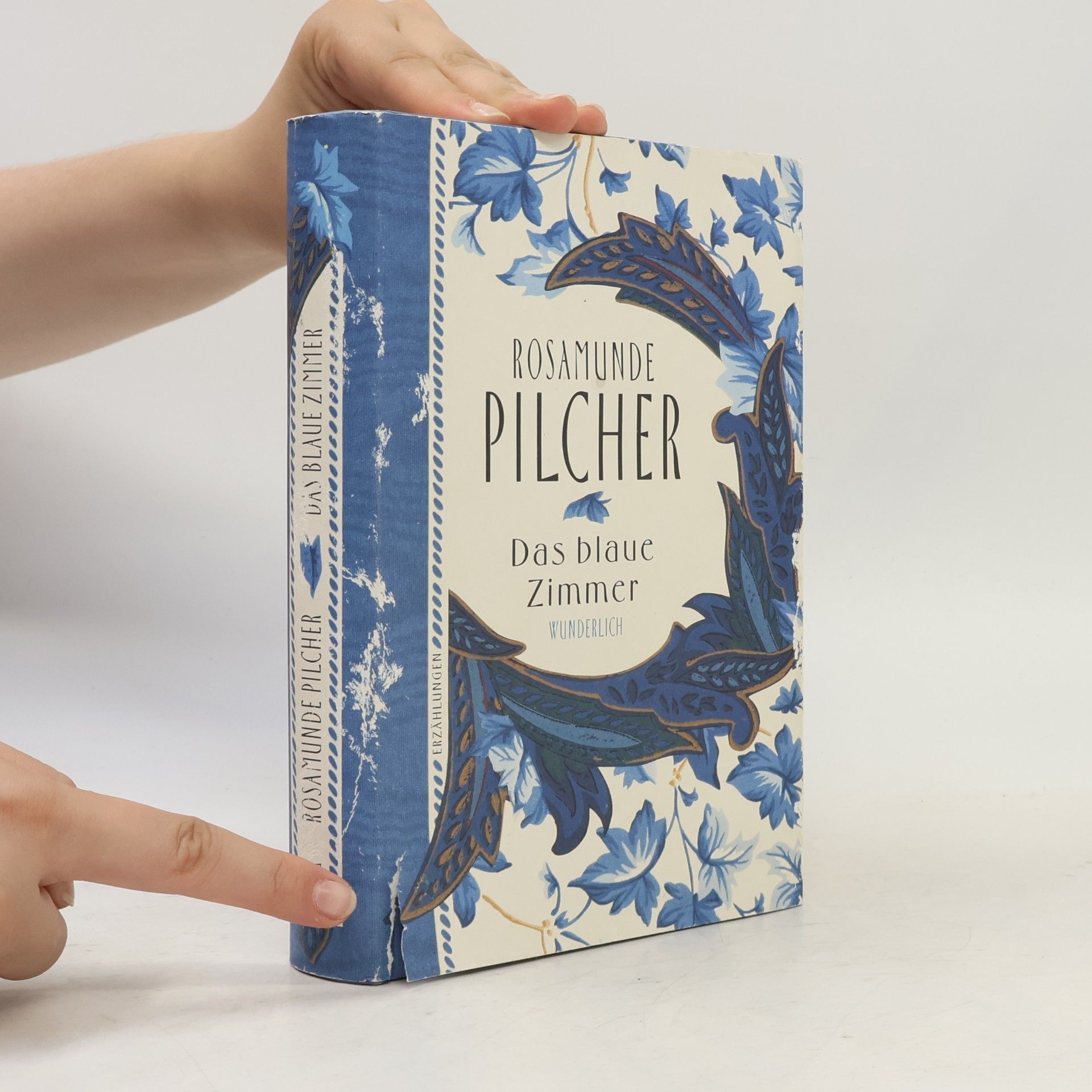 Rosamunde Pilcher Das blaue Zimmer