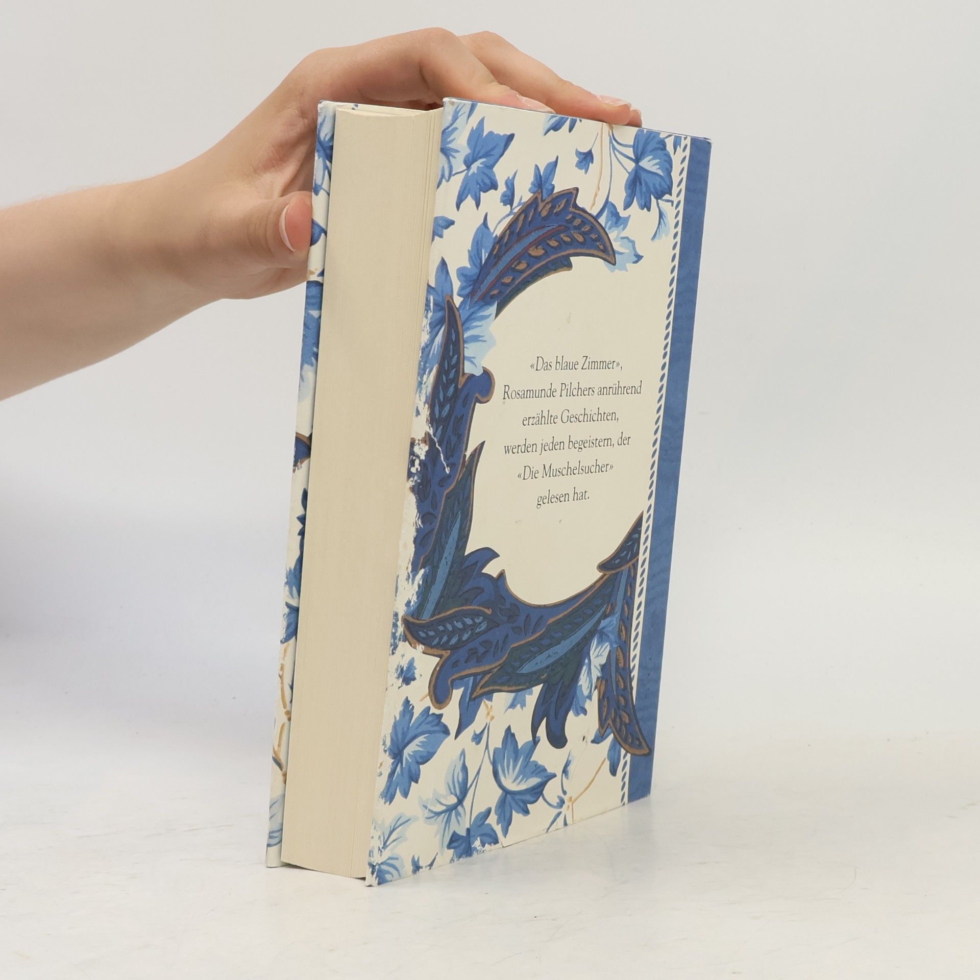 Rosamunde Pilcher Das blaue Zimmer