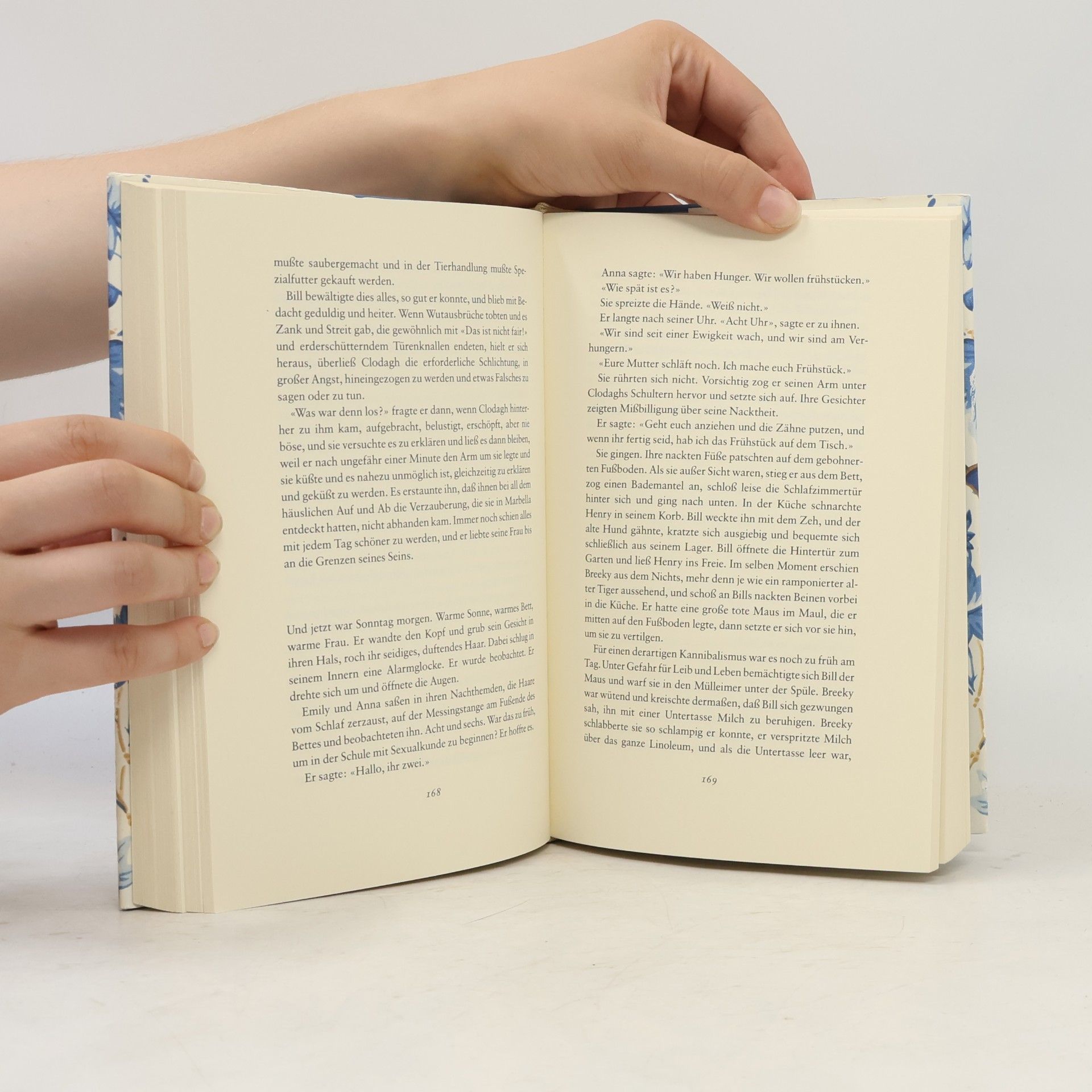 Rosamunde Pilcher Das blaue Zimmer