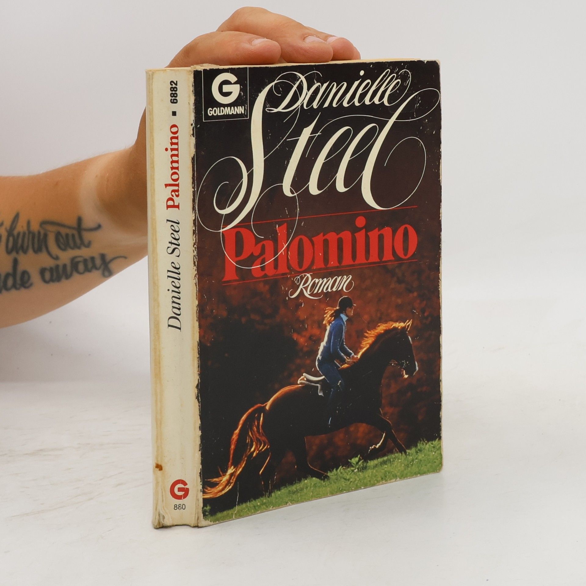 Danielle Steel Palomino