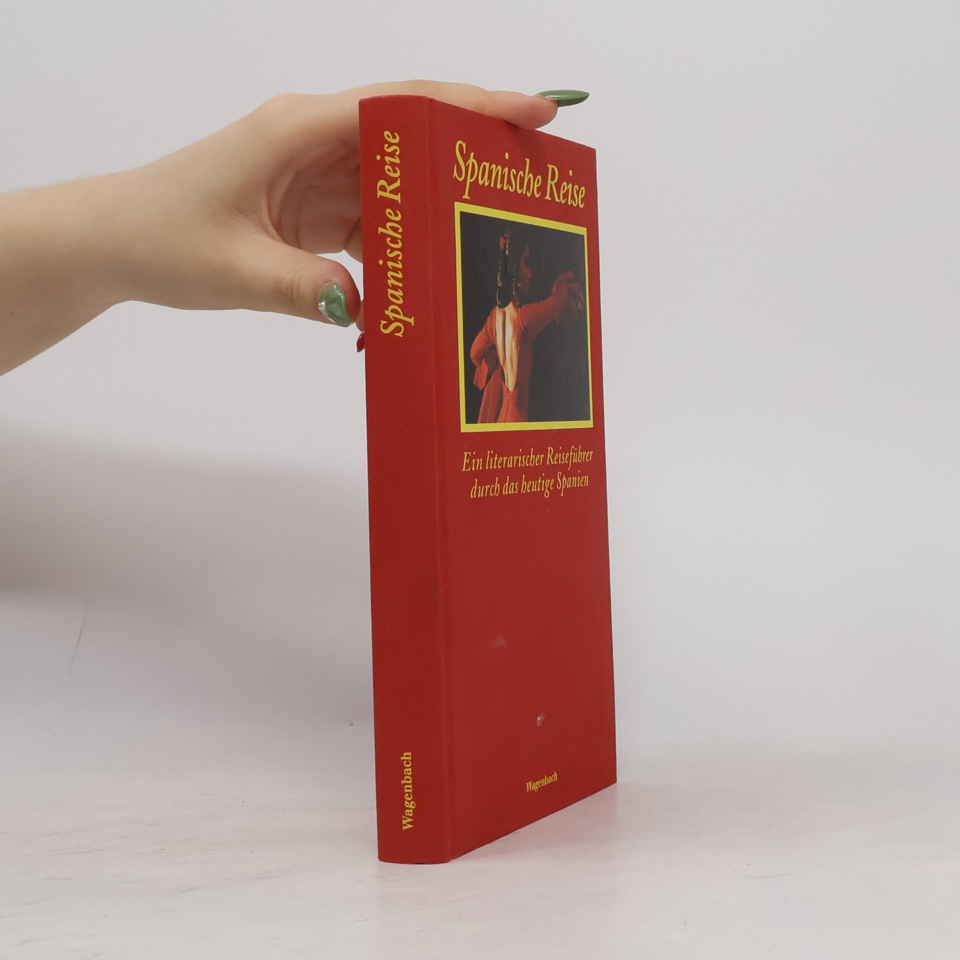Ignacio Echeverria Spanische Reise