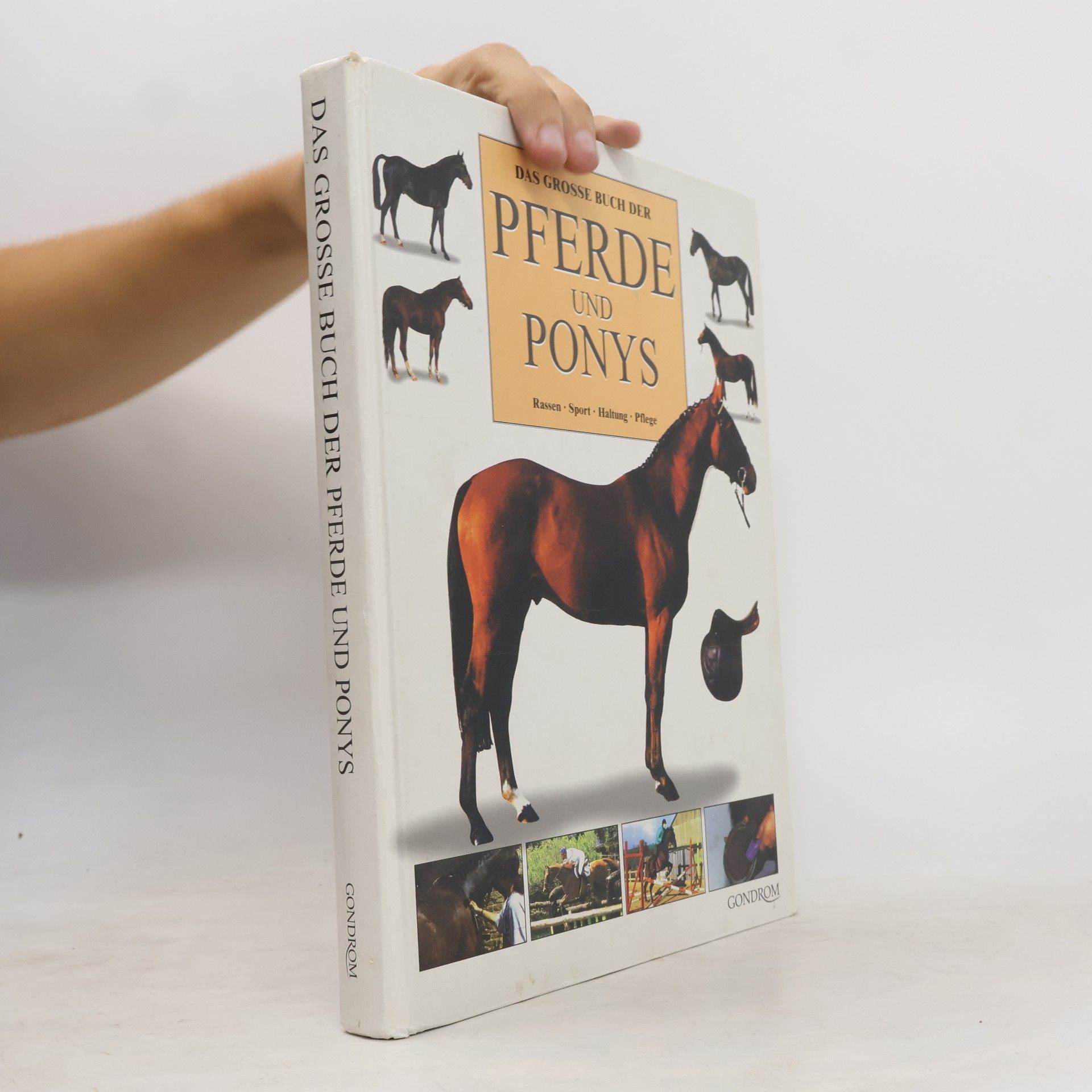 Judith Draper Das grosse Buch der Pferde und Ponys