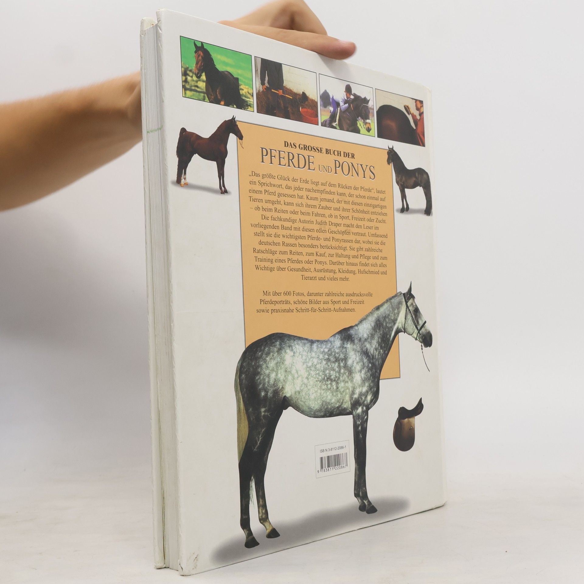 Judith Draper Das grosse Buch der Pferde und Ponys