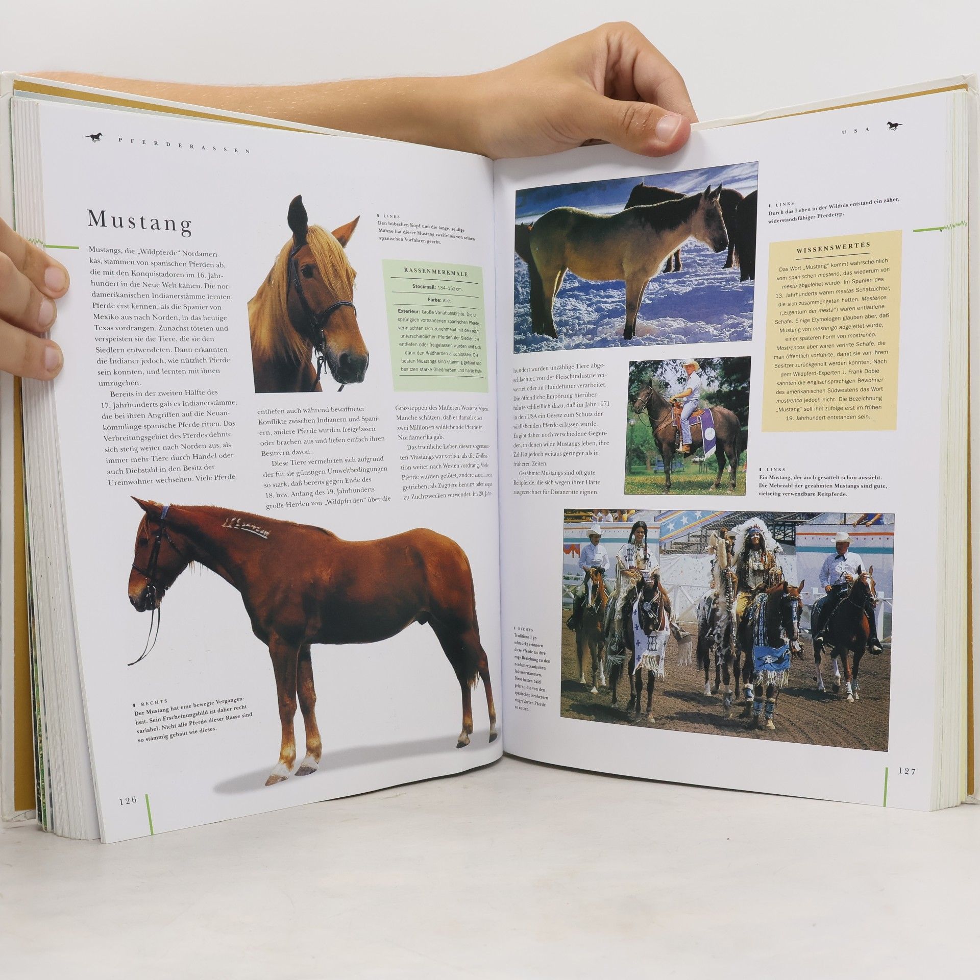 Judith Draper Das grosse Buch der Pferde und Ponys