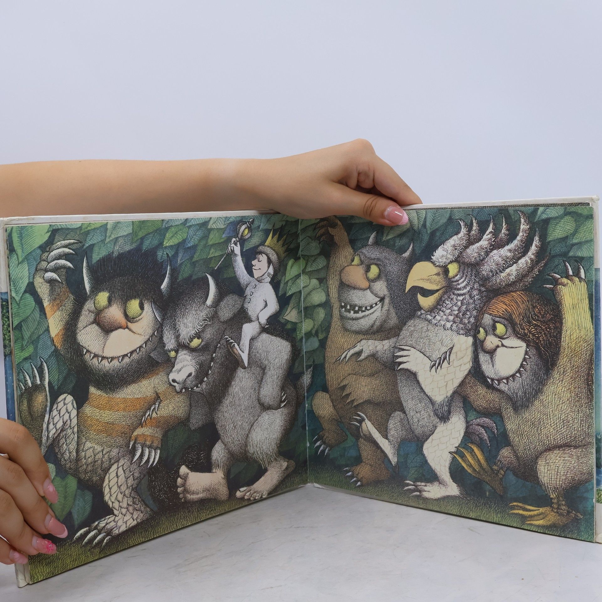 Maurice Sendak Tam kde žijí divočiny