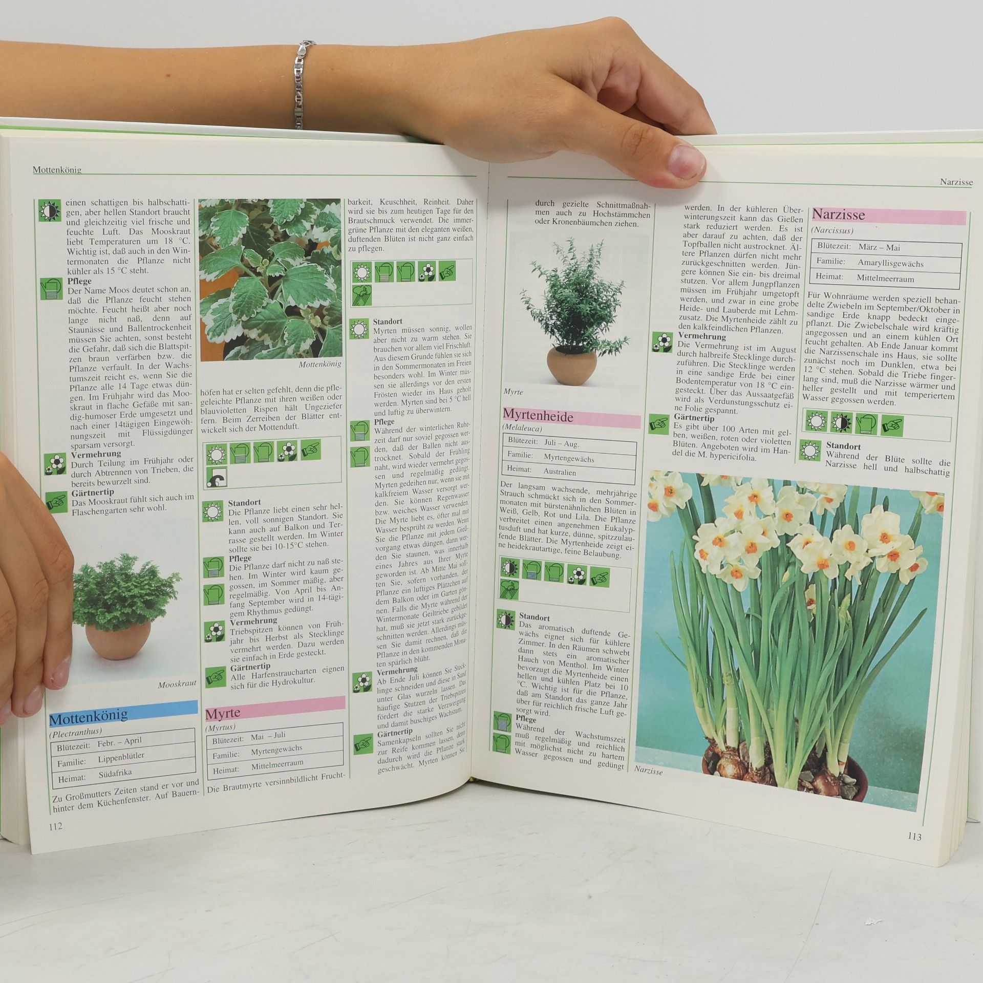 Autorenkollektiv Das große Buch der Pflanzenkunde