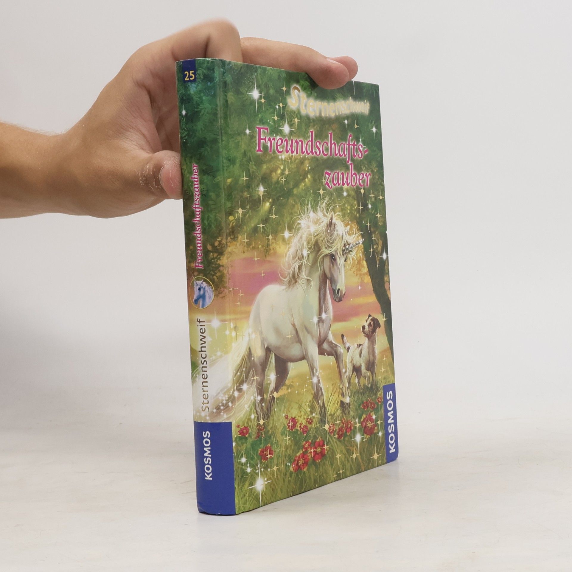 Linda Champan Sternenschweif. Freundschaftszauber 25