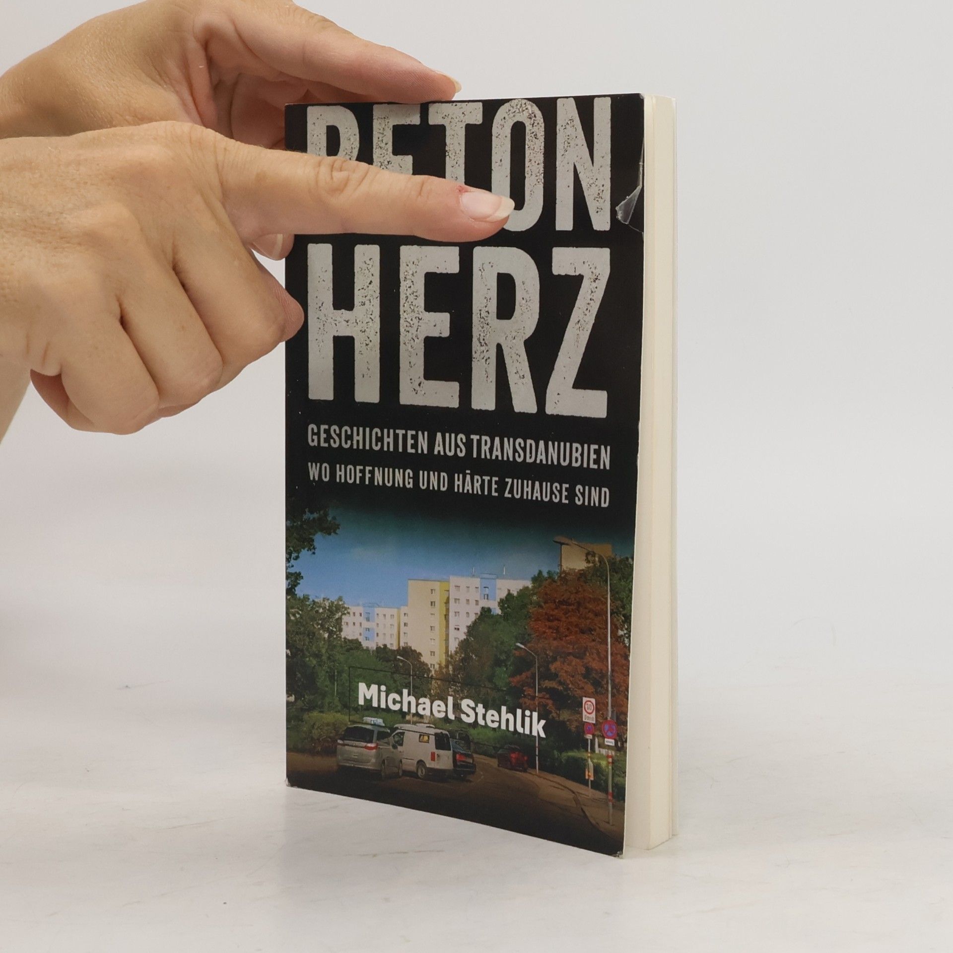 Michaela Stehlíková Beton Herz: Geschichten aus Transdanubien wo Hoffnung und Härte Zuhause sind