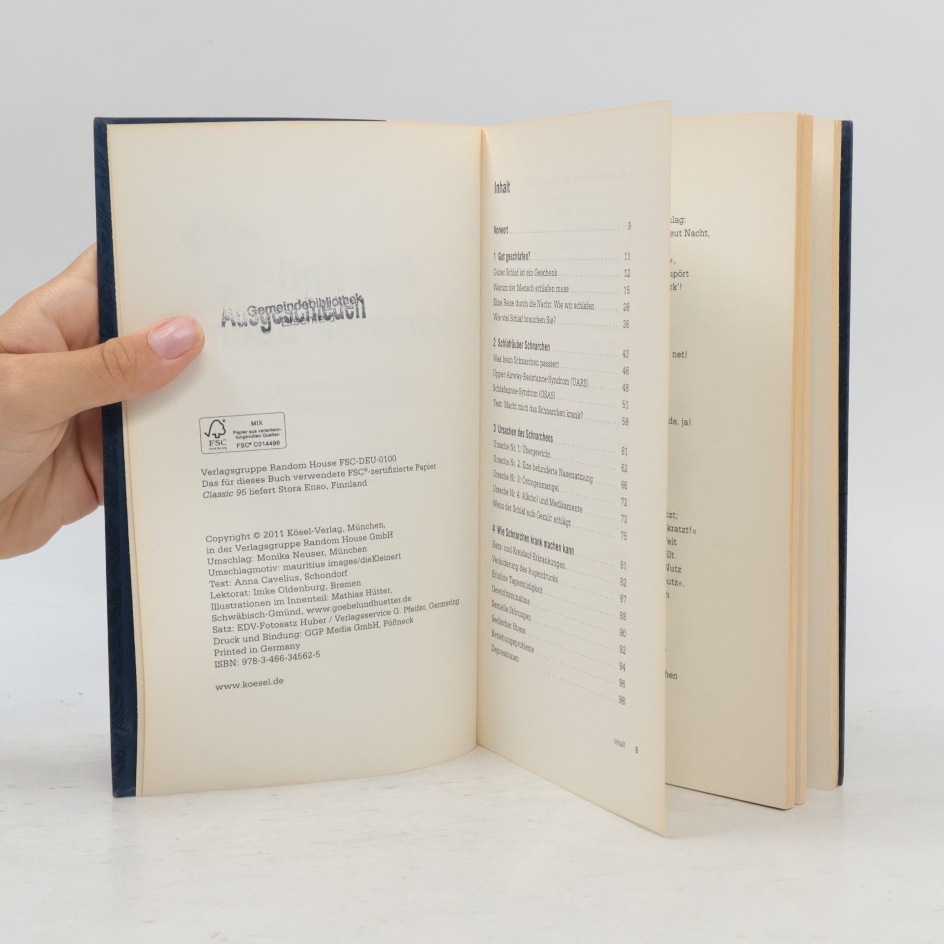 Li Wu Das Anti-Schnarch-Buch
