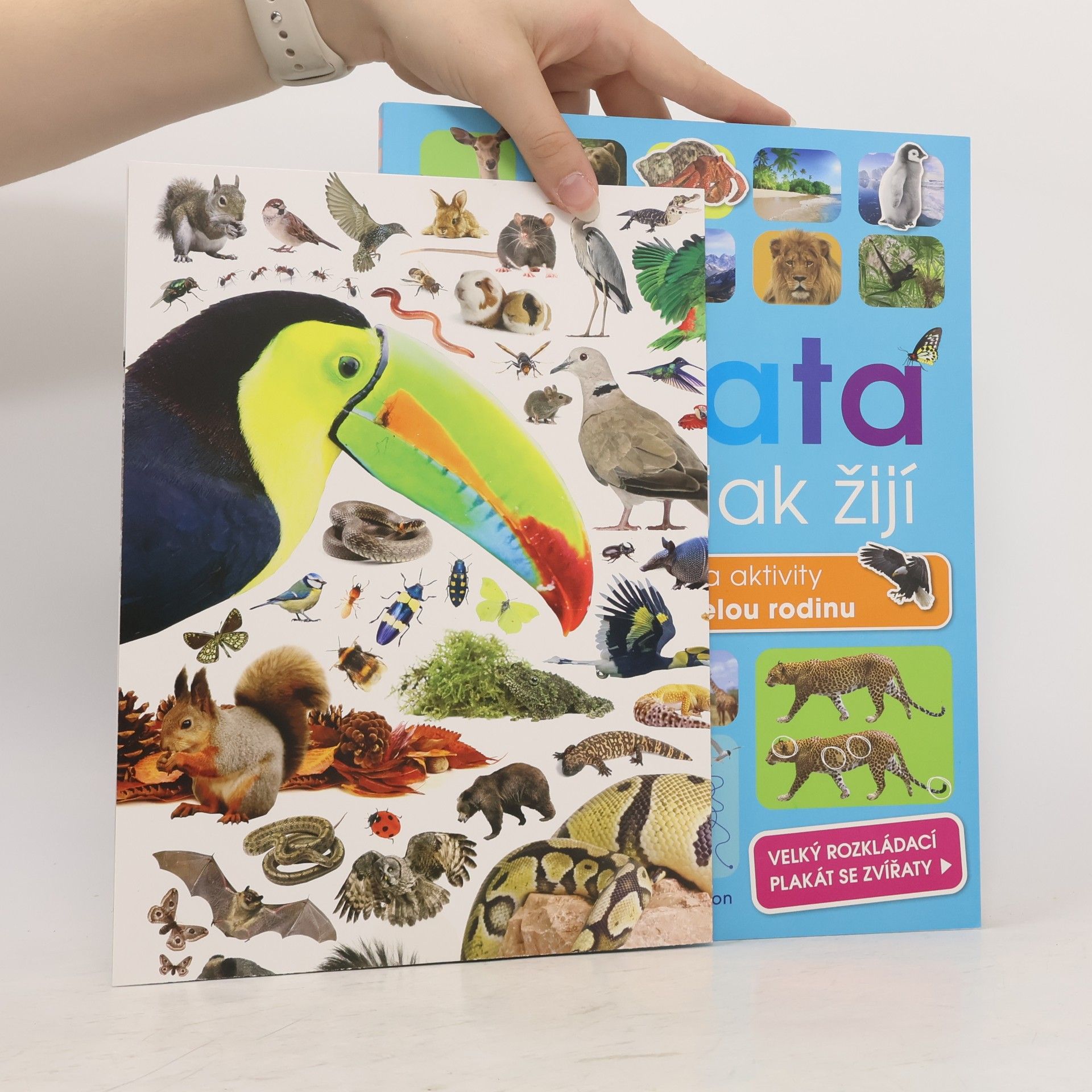 Anita Ganeri Zvířata. Kde a jak žijí