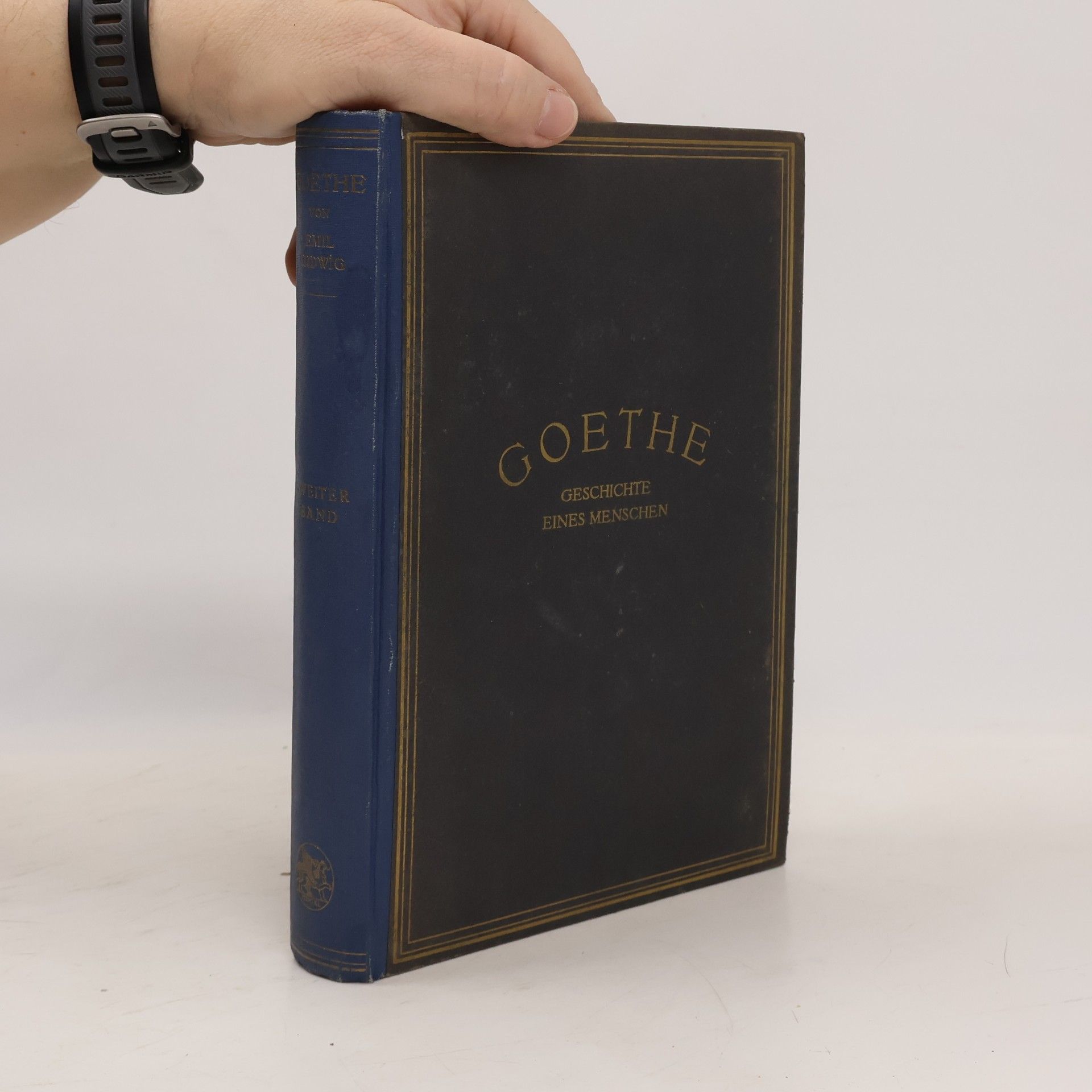 Johann Wolfgang von Goethe Goethe. Geschichte eines Menschen. Zweiter Band