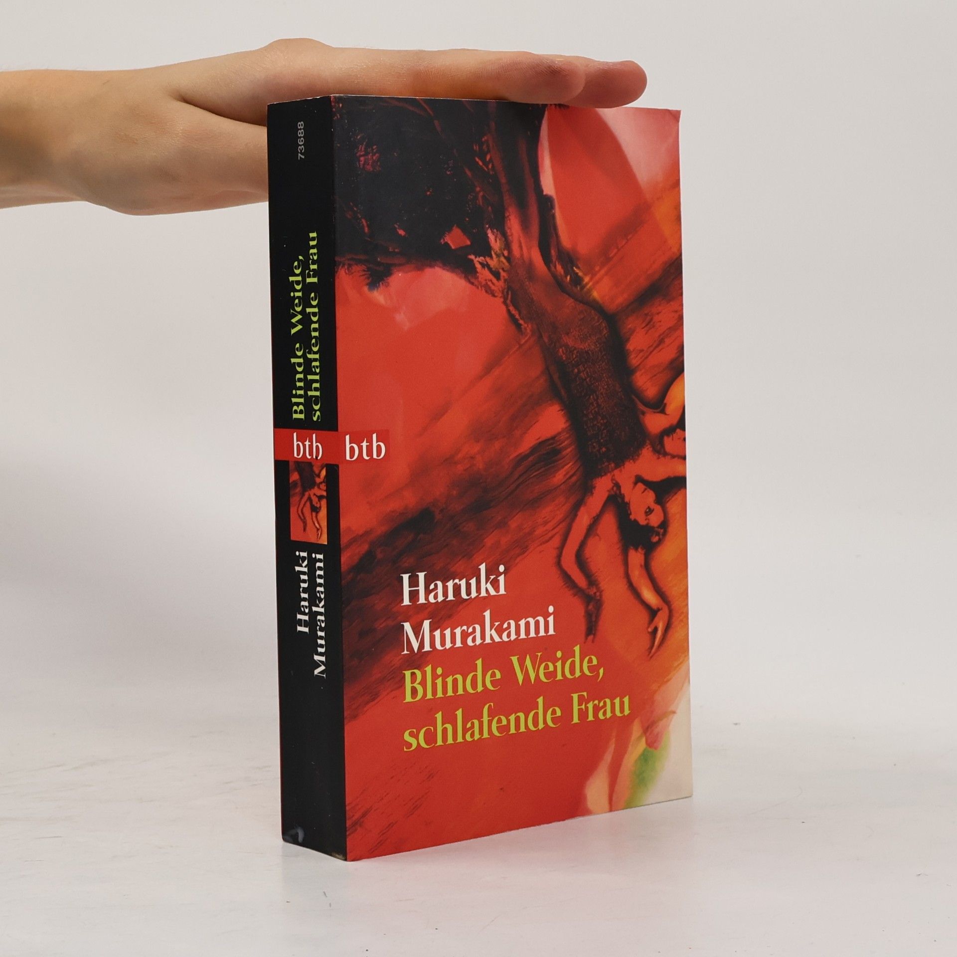 Haruki Murakami Blinde Weide, schlafende Frau