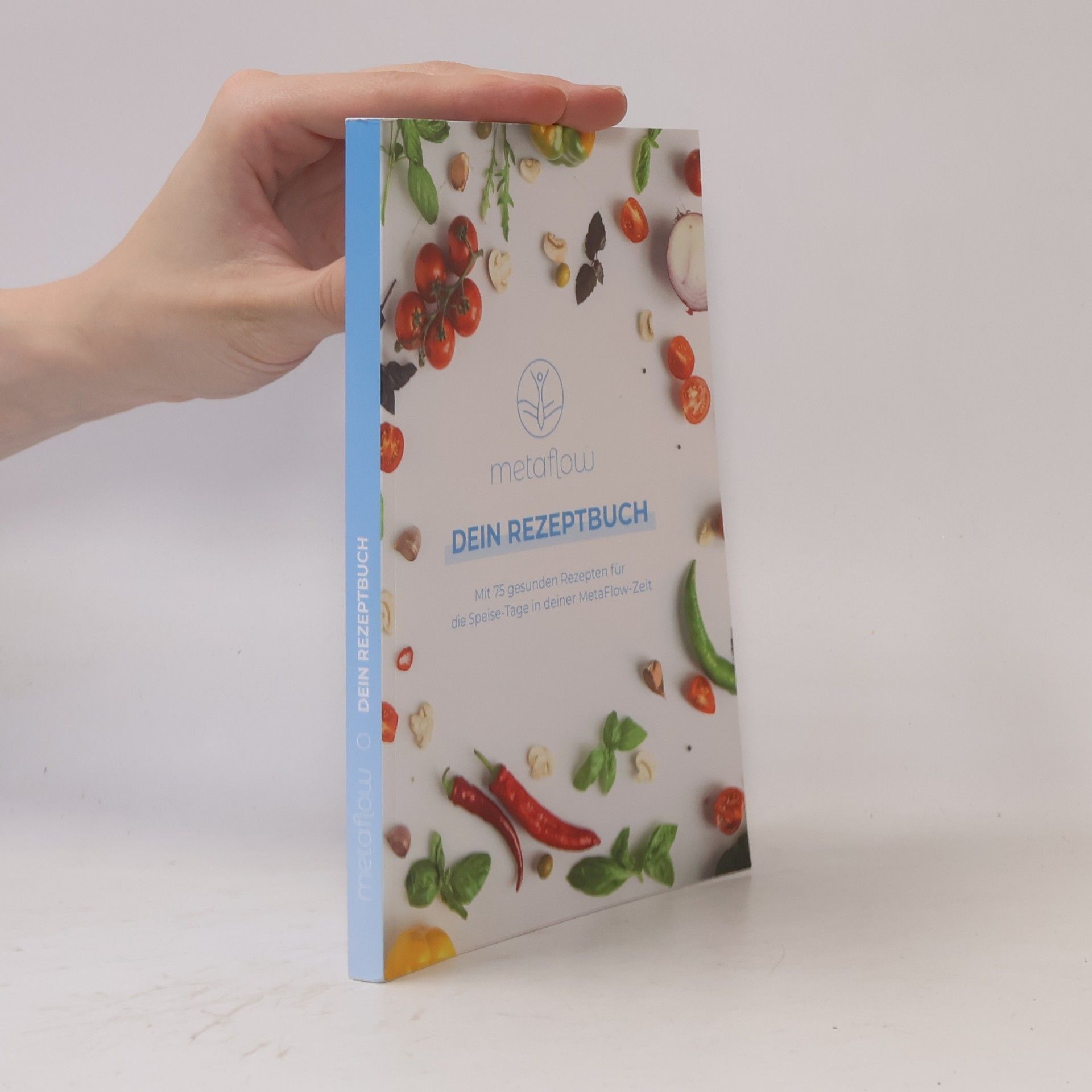 Kolektiv autorů MetaFlow. Dein Rezeptbuch
