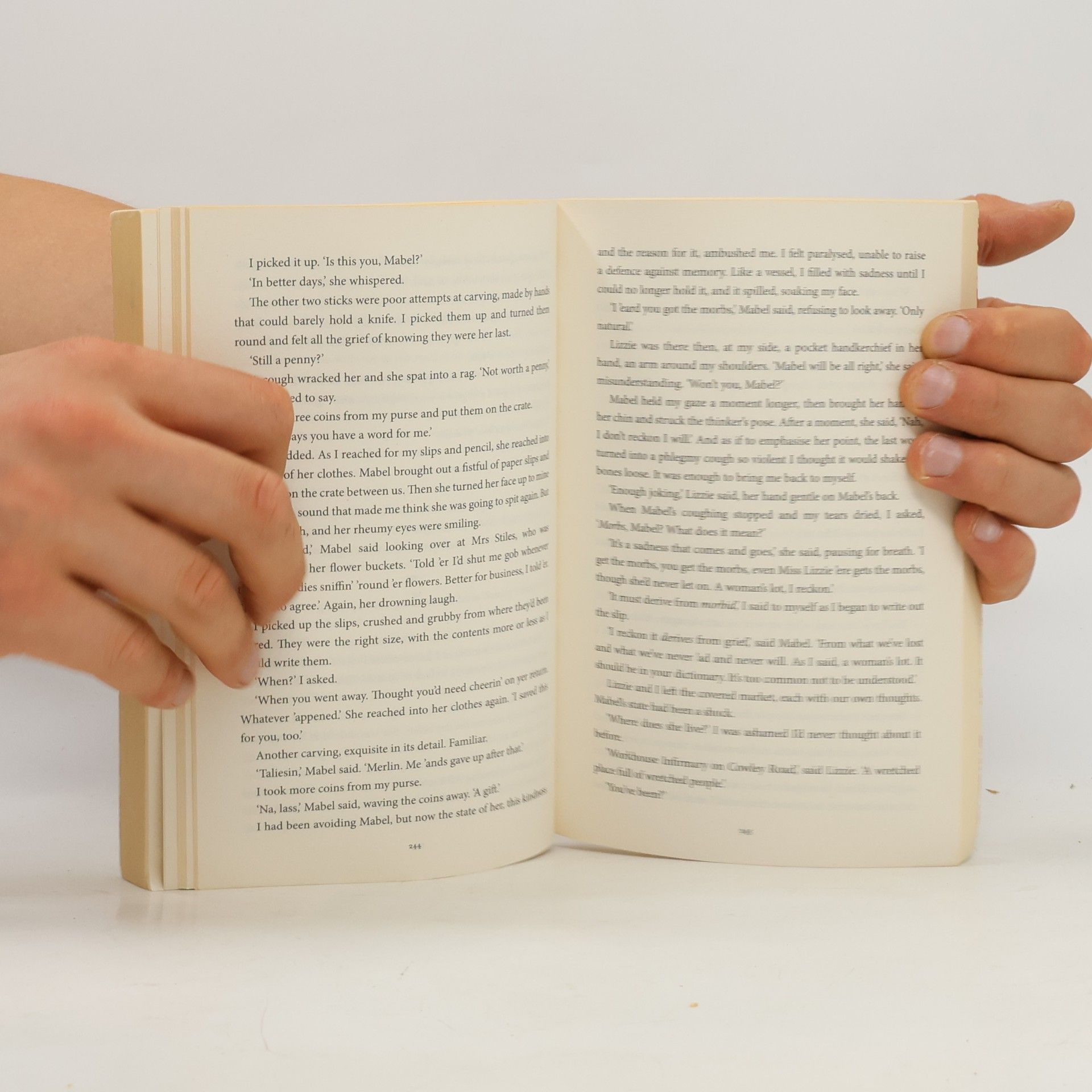 Pip Williams The dictionary of lost words