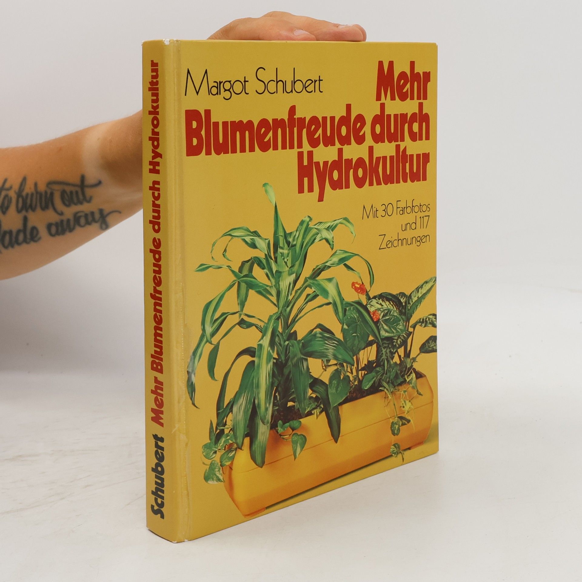 Margot Schubert Mehr Blumenfreude durch Hydrokultur
