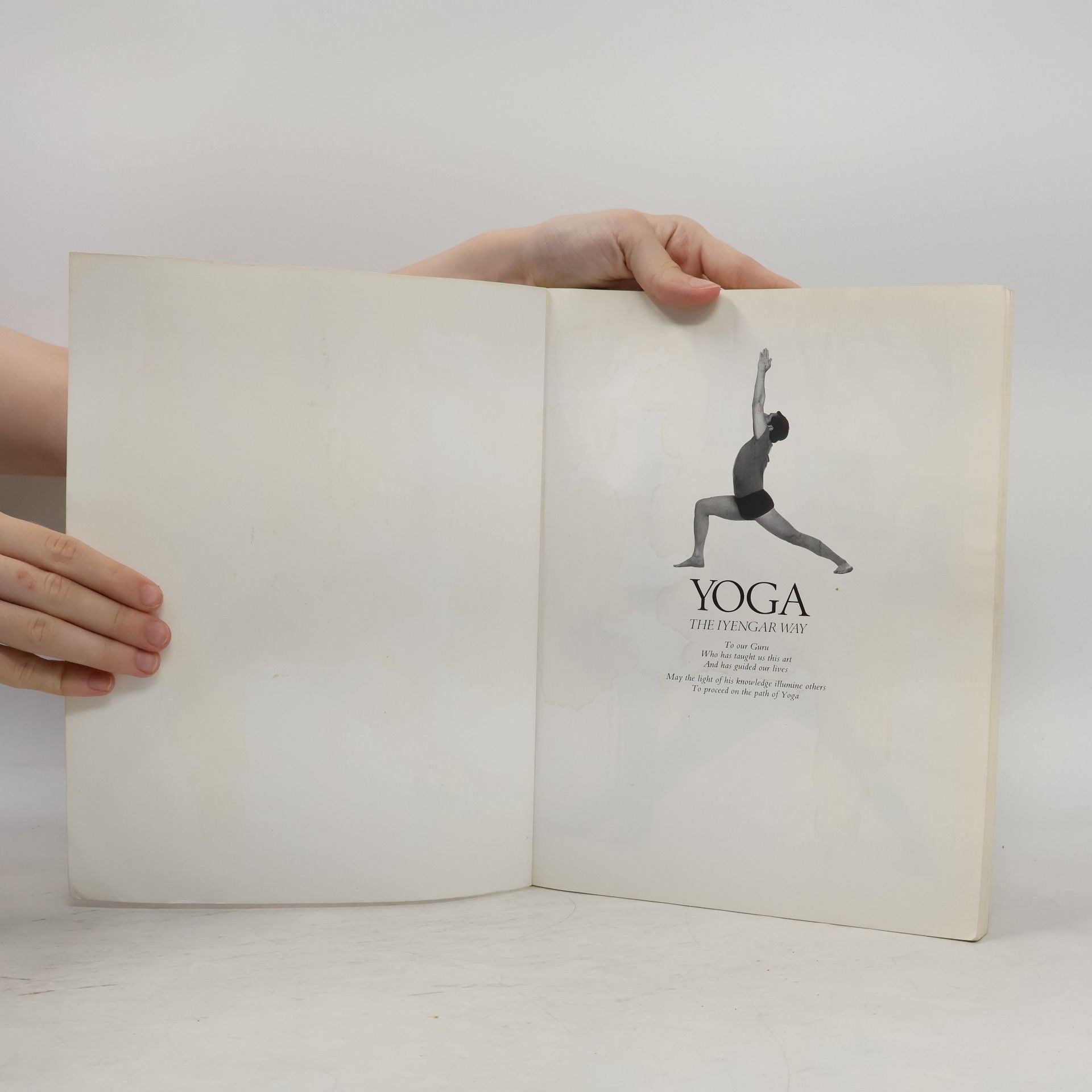 Mehta Mira Yoga : the Iyengar way