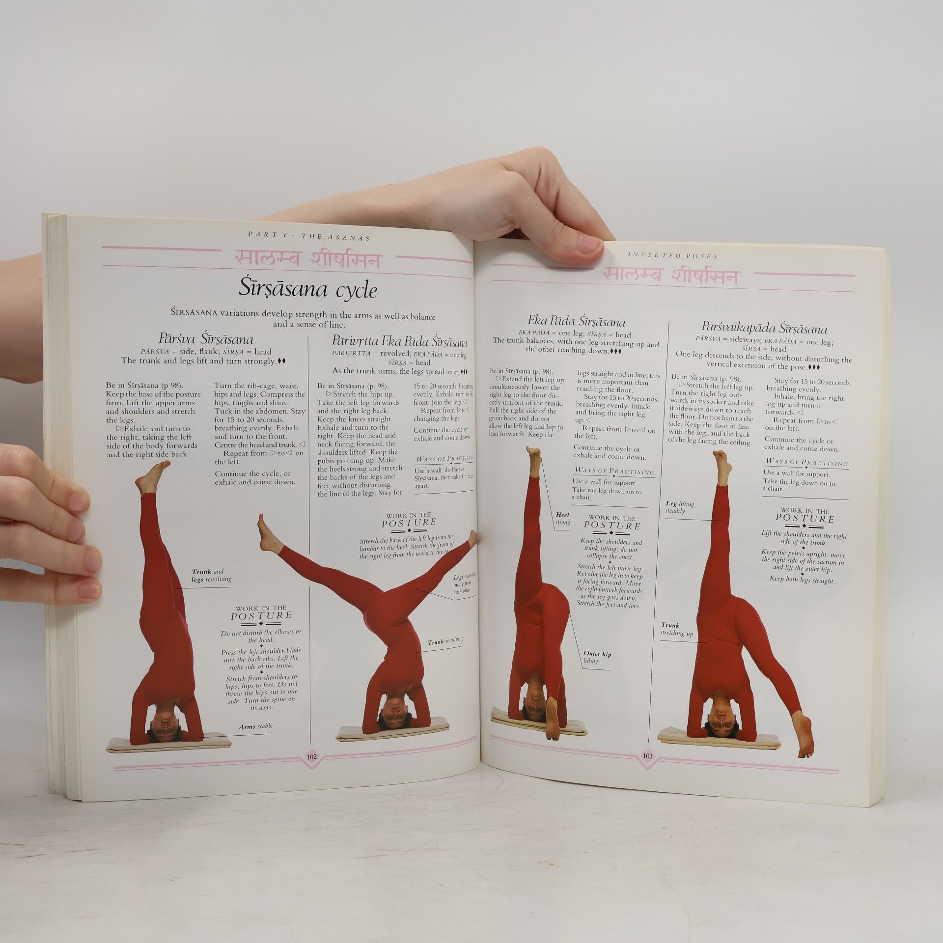 Mehta Mira Yoga : the Iyengar way