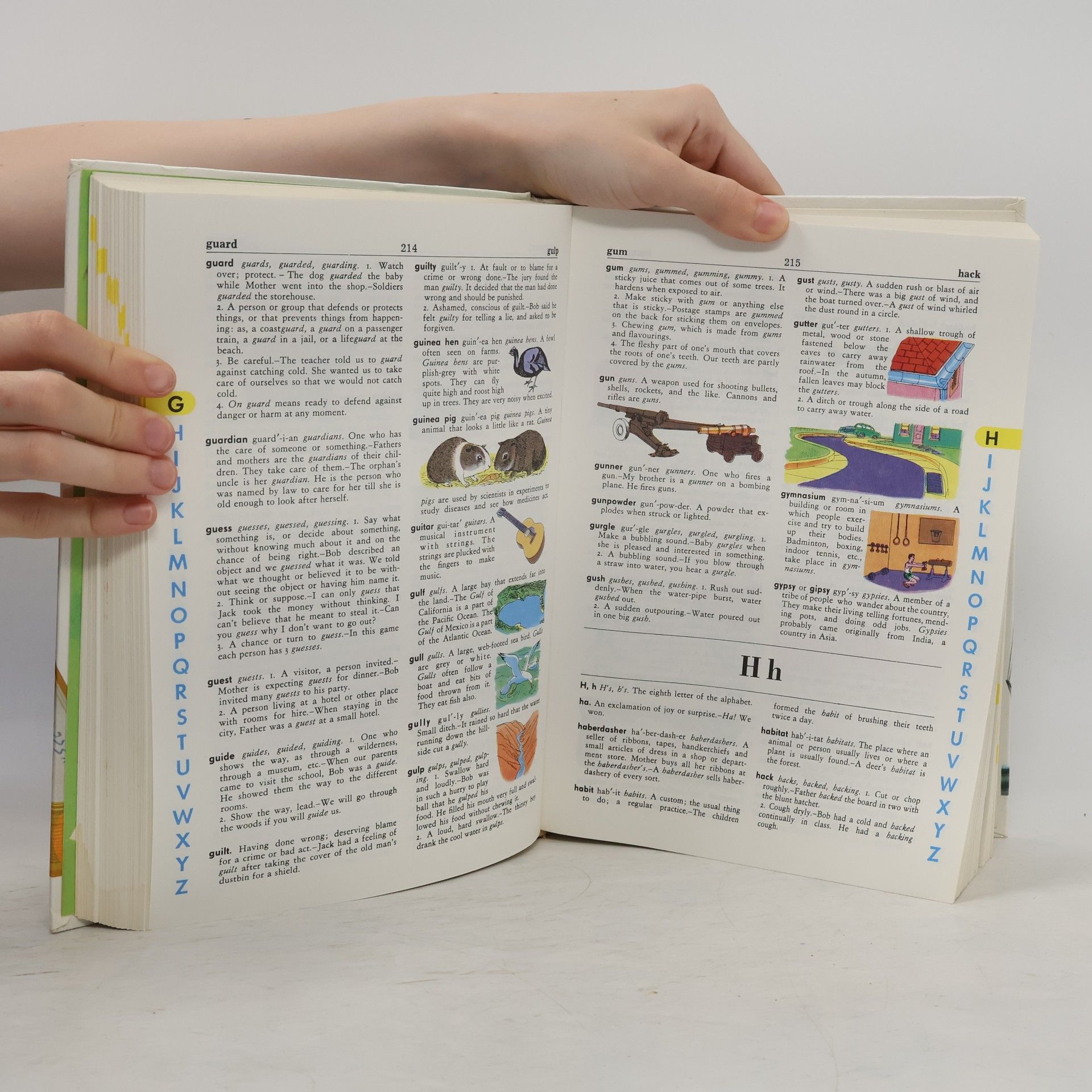 Stuart A. Courtis The Giant All-Colour Dictionary
