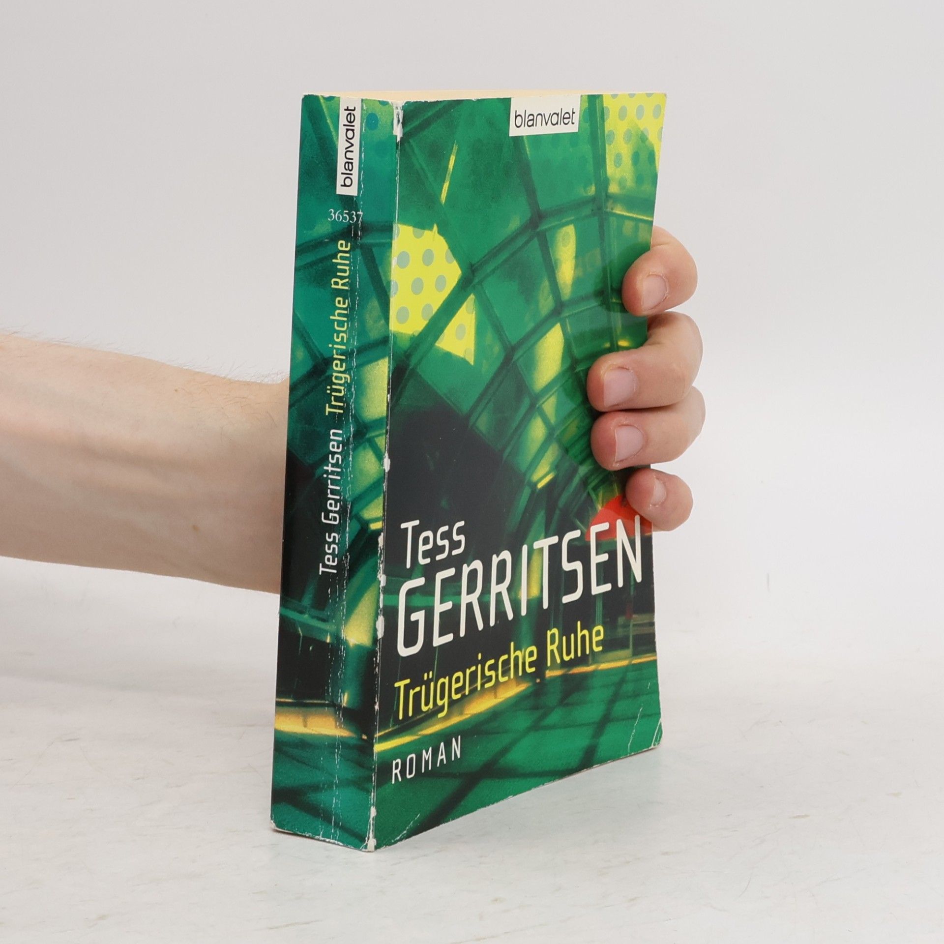 Tess Gerritsen Trügerische Ruhe