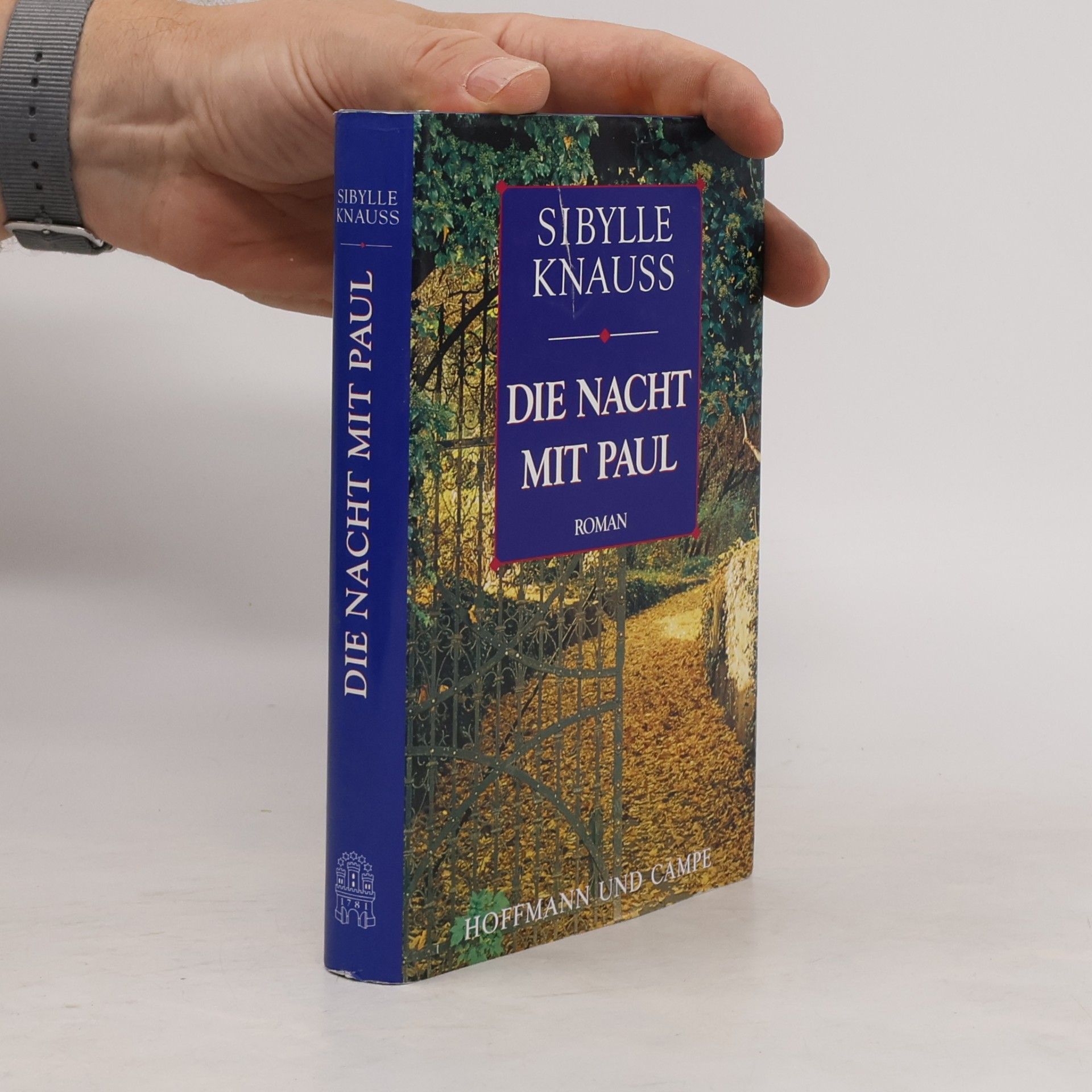 Sibylle Knauss Die Nacht mit Paul