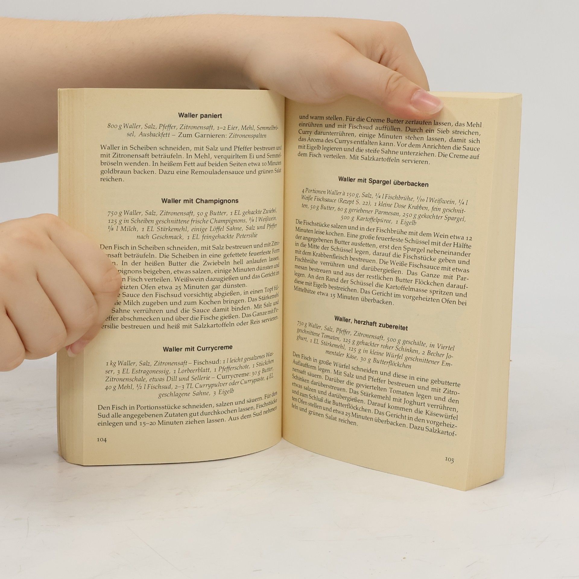 Theodor Böttiger Das neue Fischkochbuch