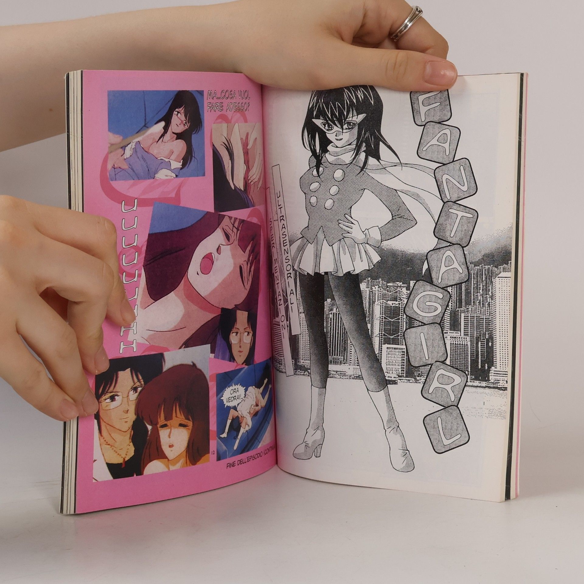 Collectif d'auteurs Japan Book 2