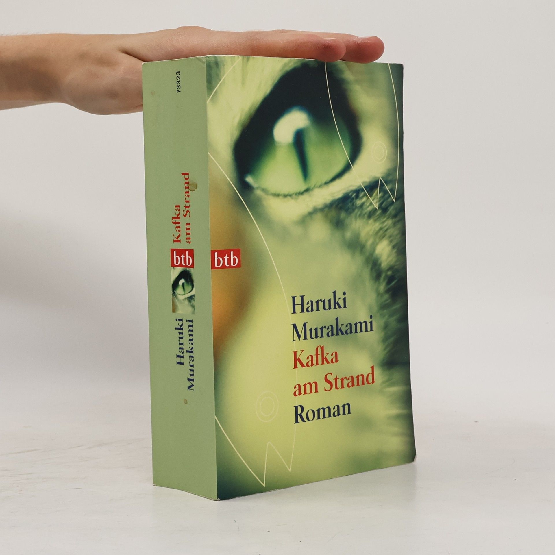 Haruki Murakami Kafka am Strand